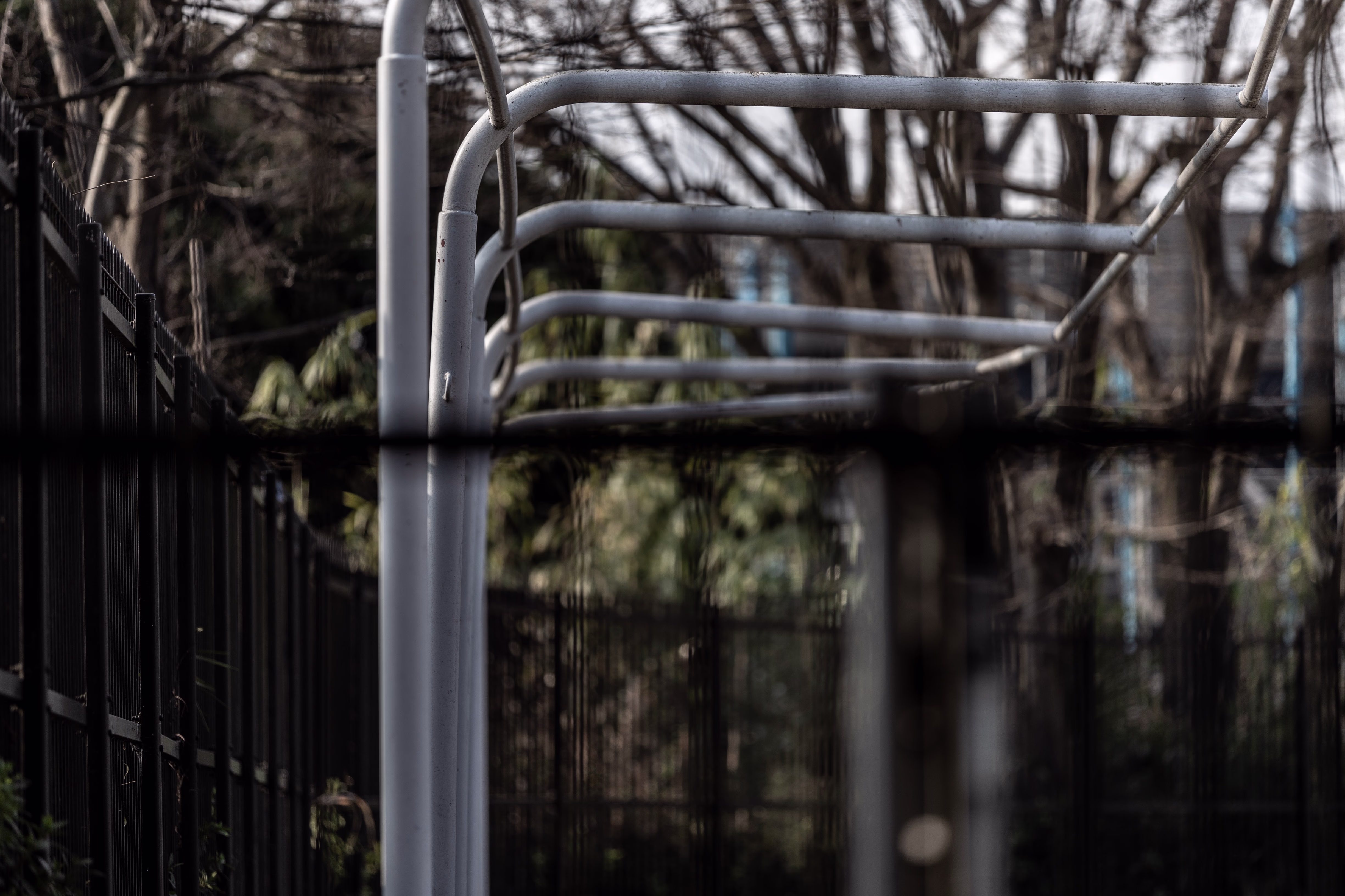 画像関連:EOS R6 Mark II+ EF-EOS R を買った