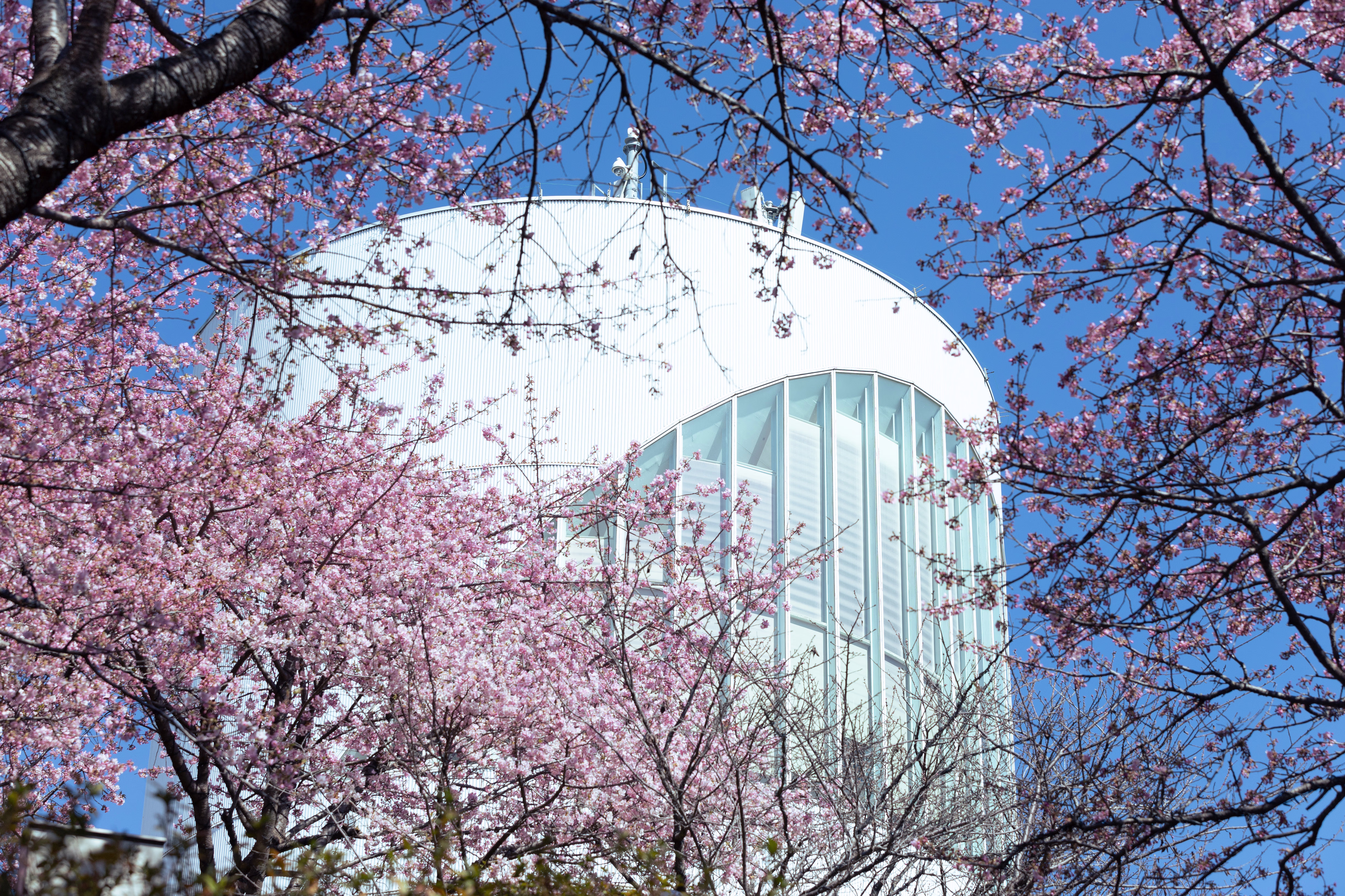 画像関連:松田山