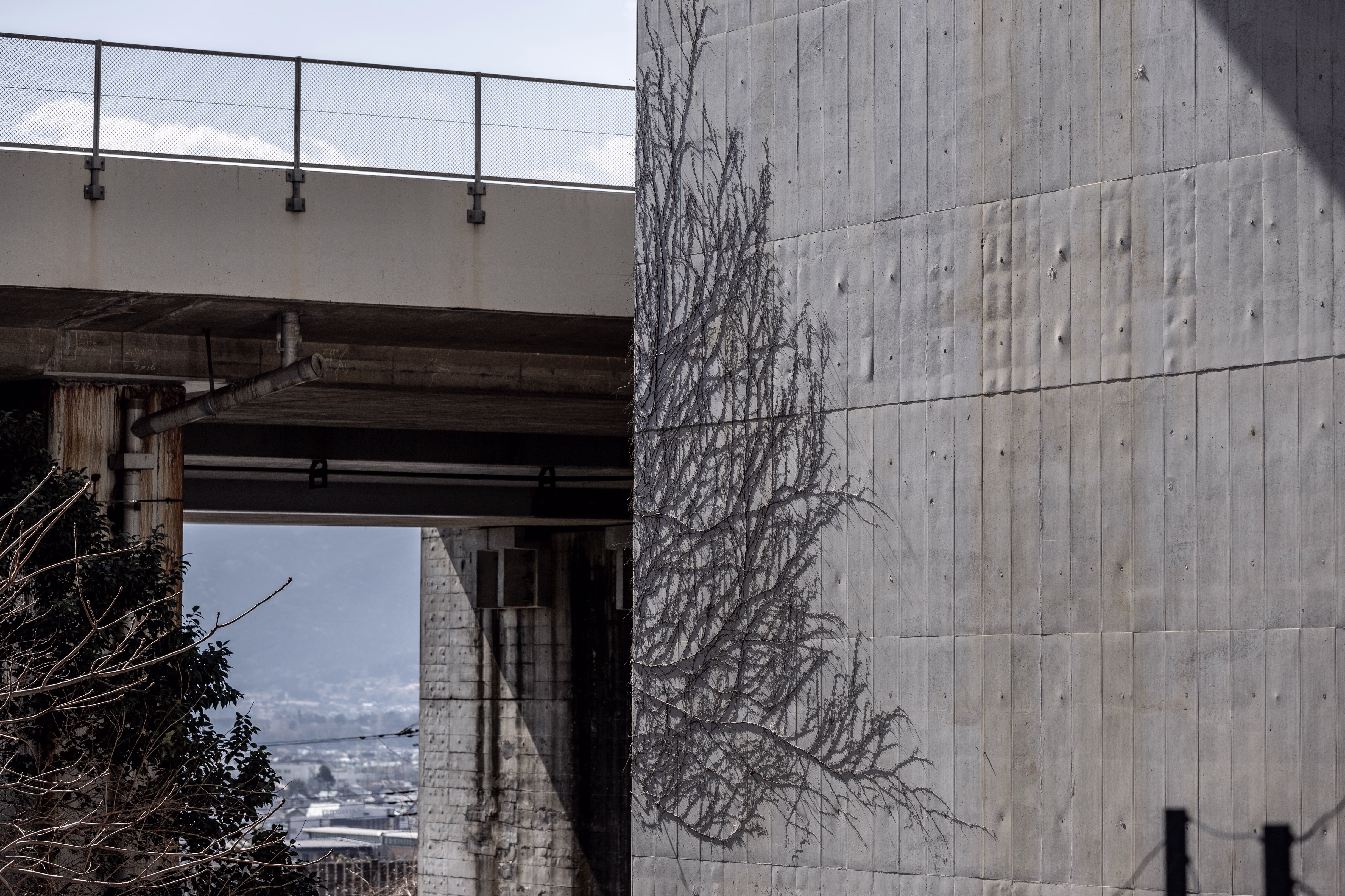 画像関連:松田山