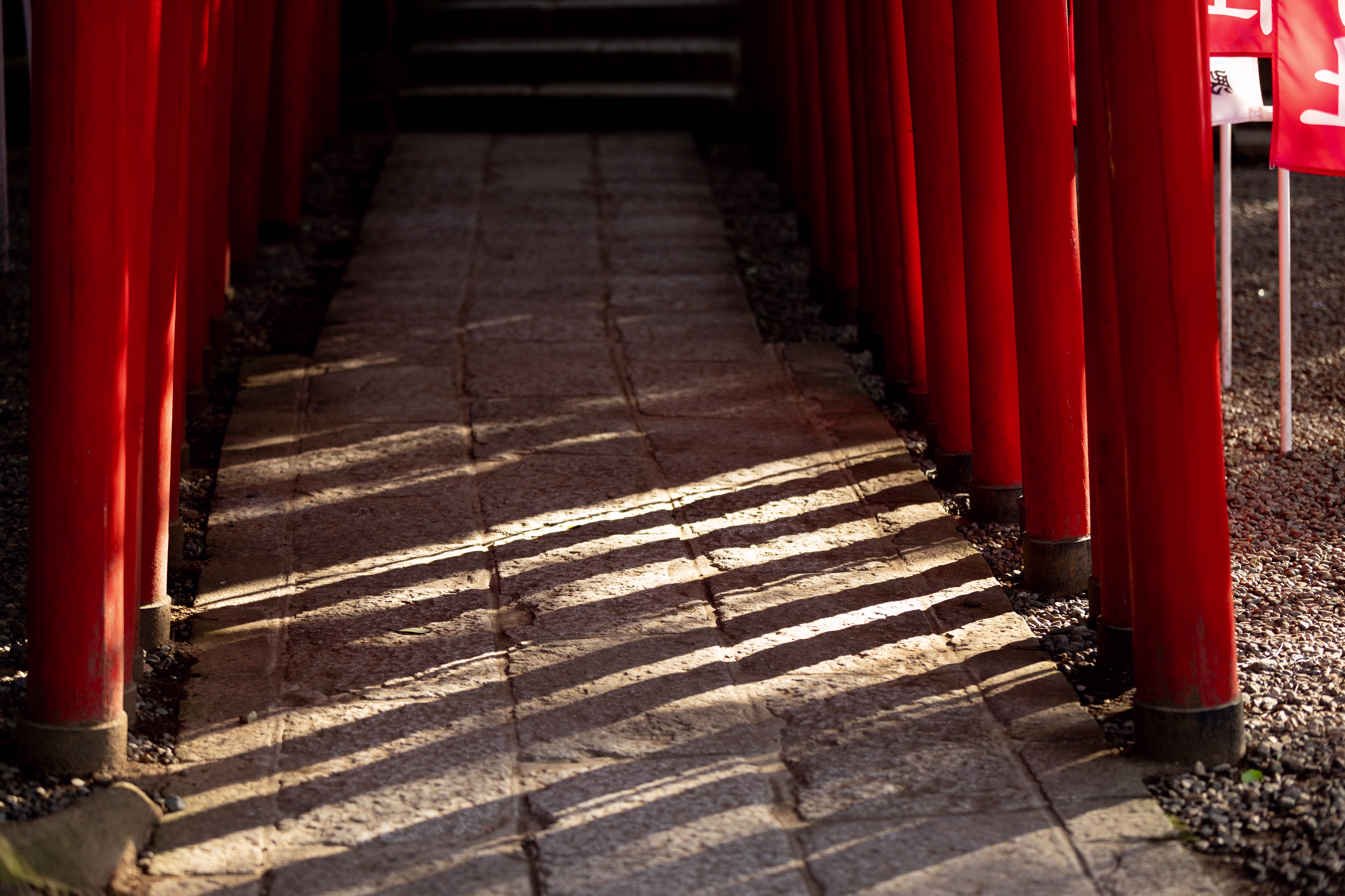 画像関連:氷川神社