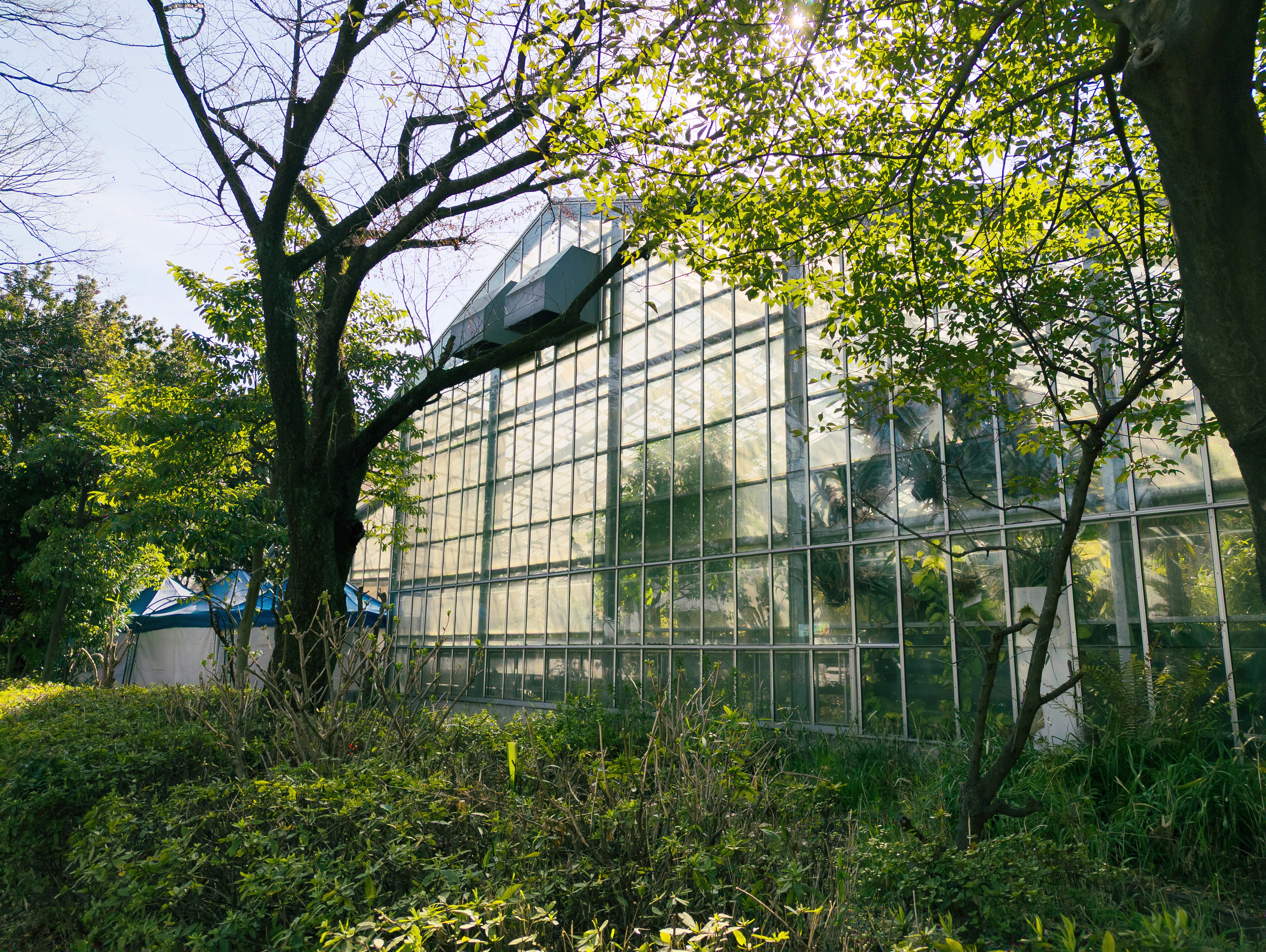 画像関連:東京農業大学 「食と農」の博物館 / 馬事公苑 / 世田谷美術館