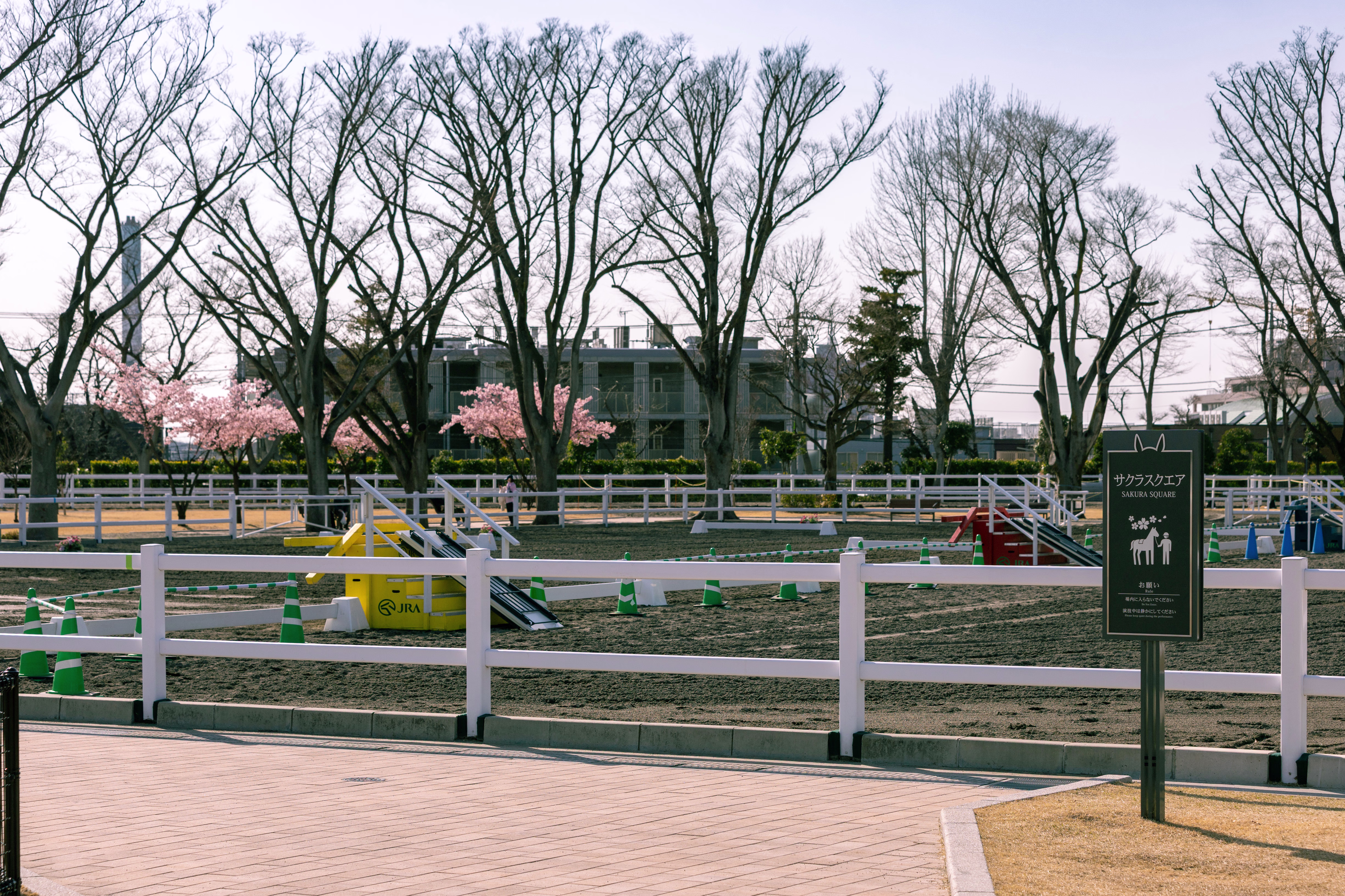 画像関連:東京農業大学 「食と農」の博物館 / 馬事公苑 / 世田谷美術館