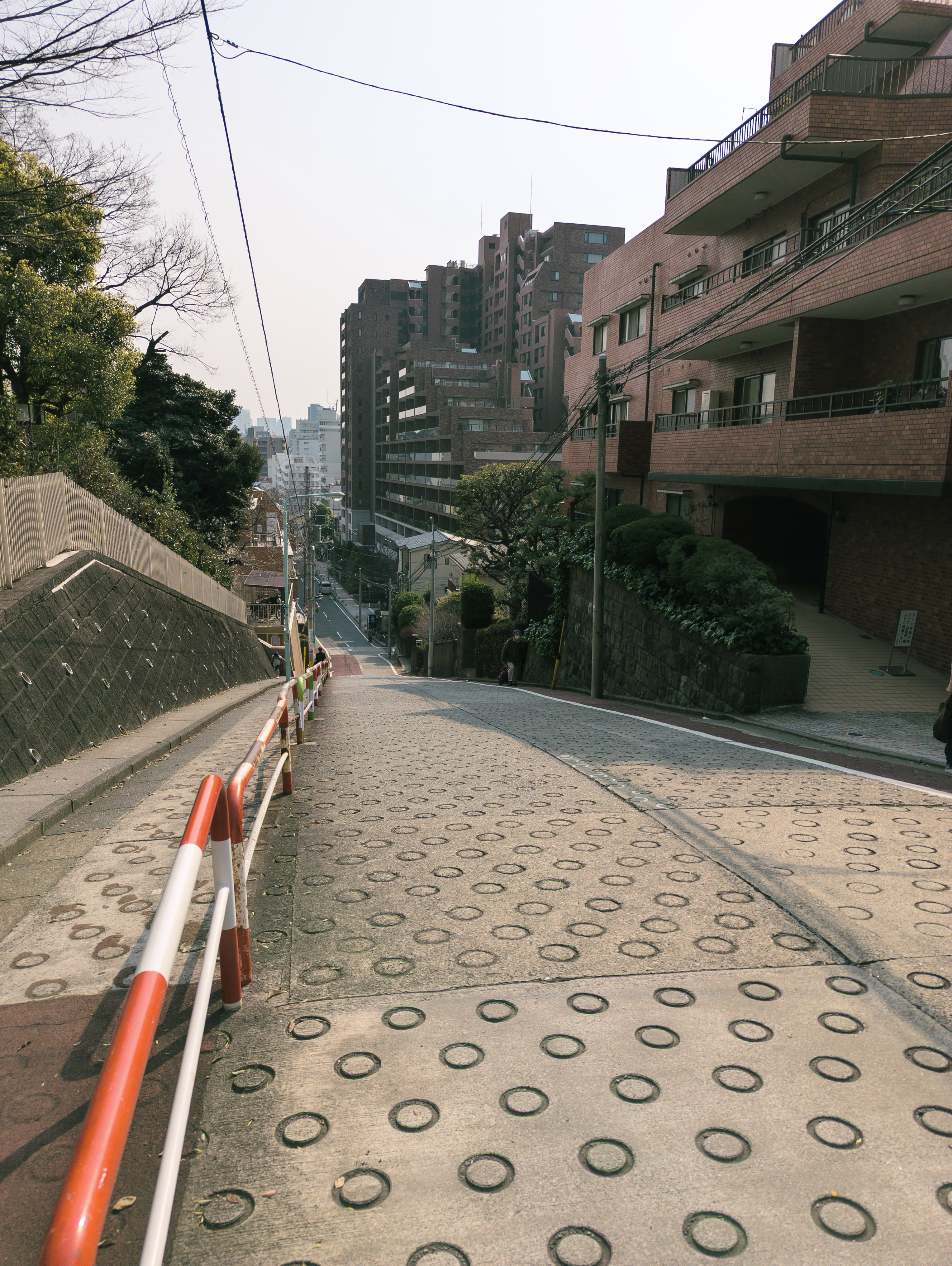 画像関連:霞会館記念学習院ミュージアム / 総務省 統計博物館