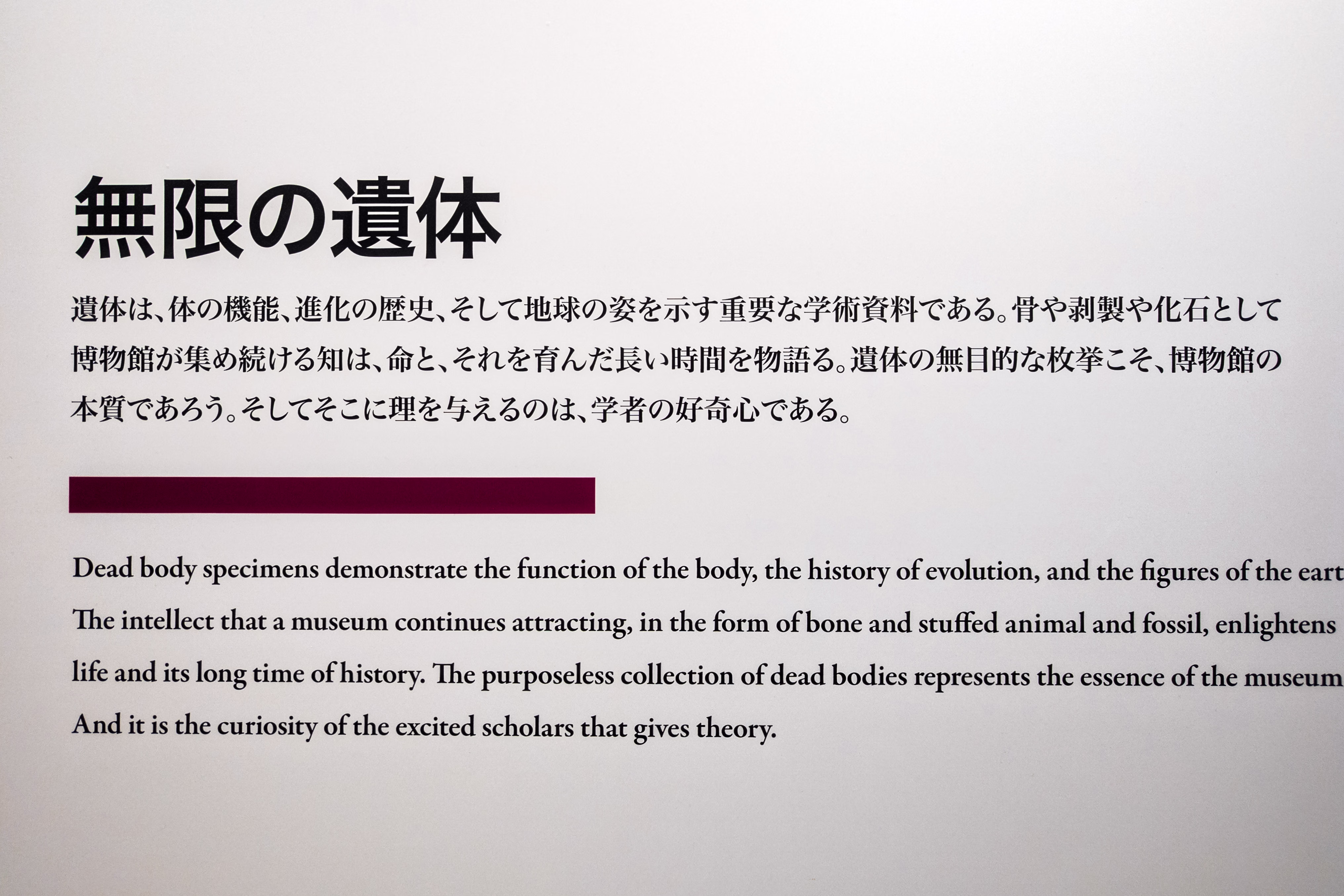 画像関連:平日に時間があるとき行くと良い大学博物館や、企業博物館など