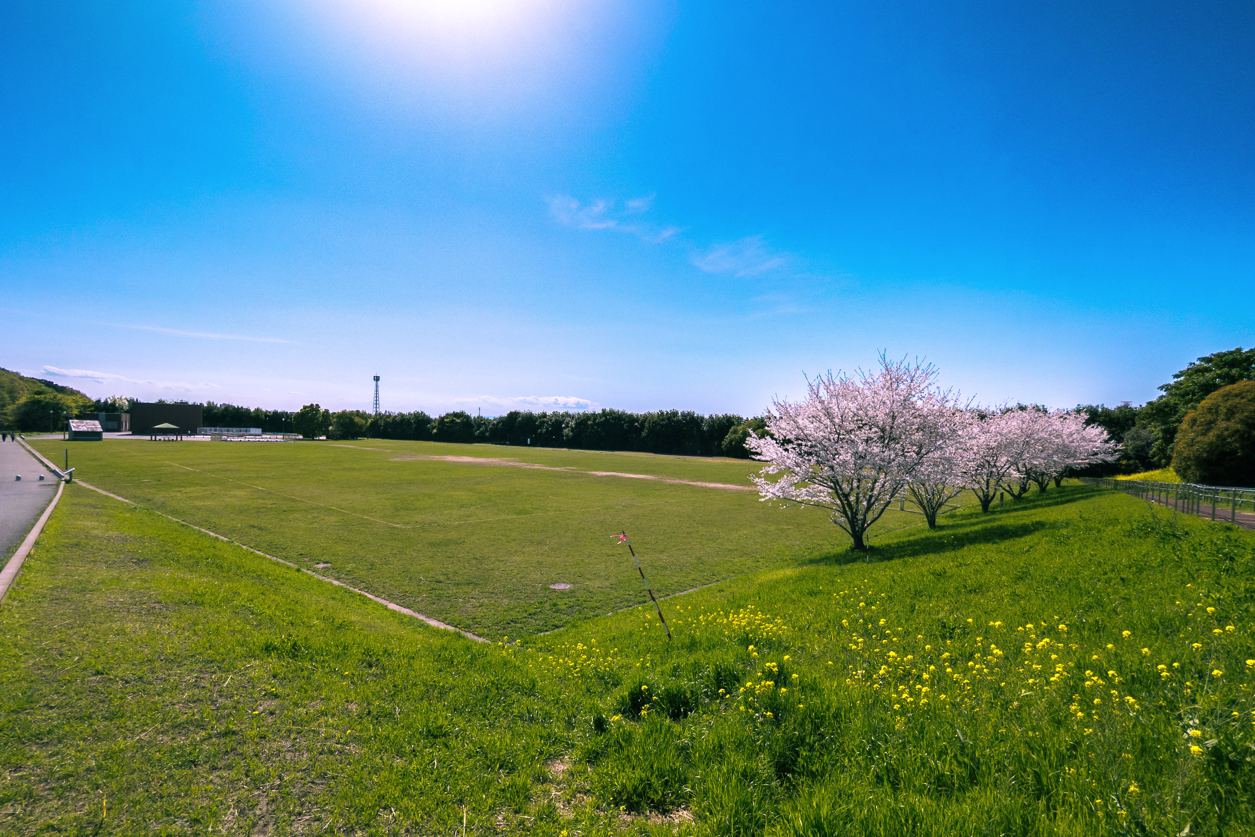 画像関連:首都圏外郭放水路の見学に行った