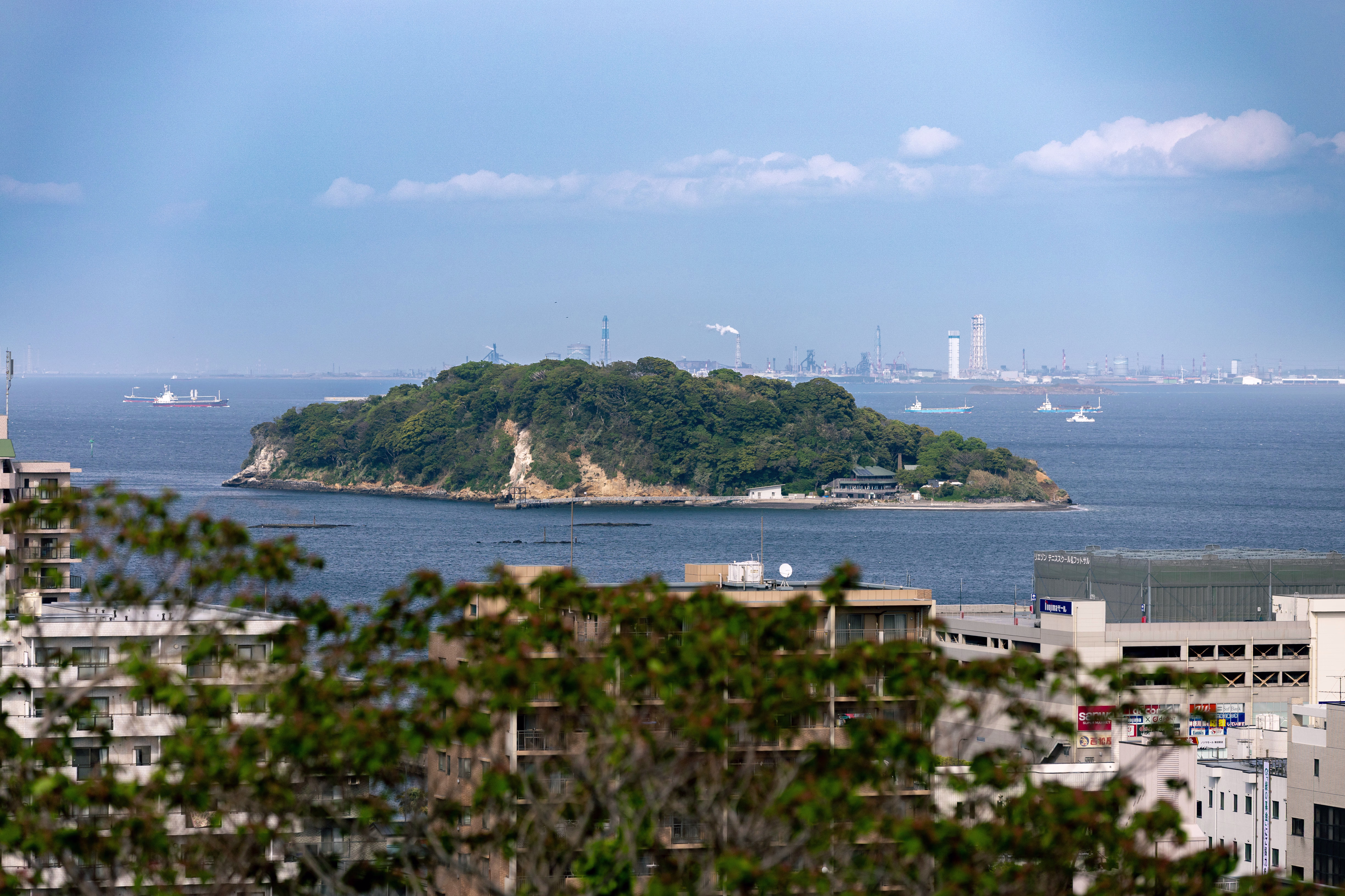 画像関連:猿島 / 記念艦 三笠 / 横須賀市自然・人文博物館