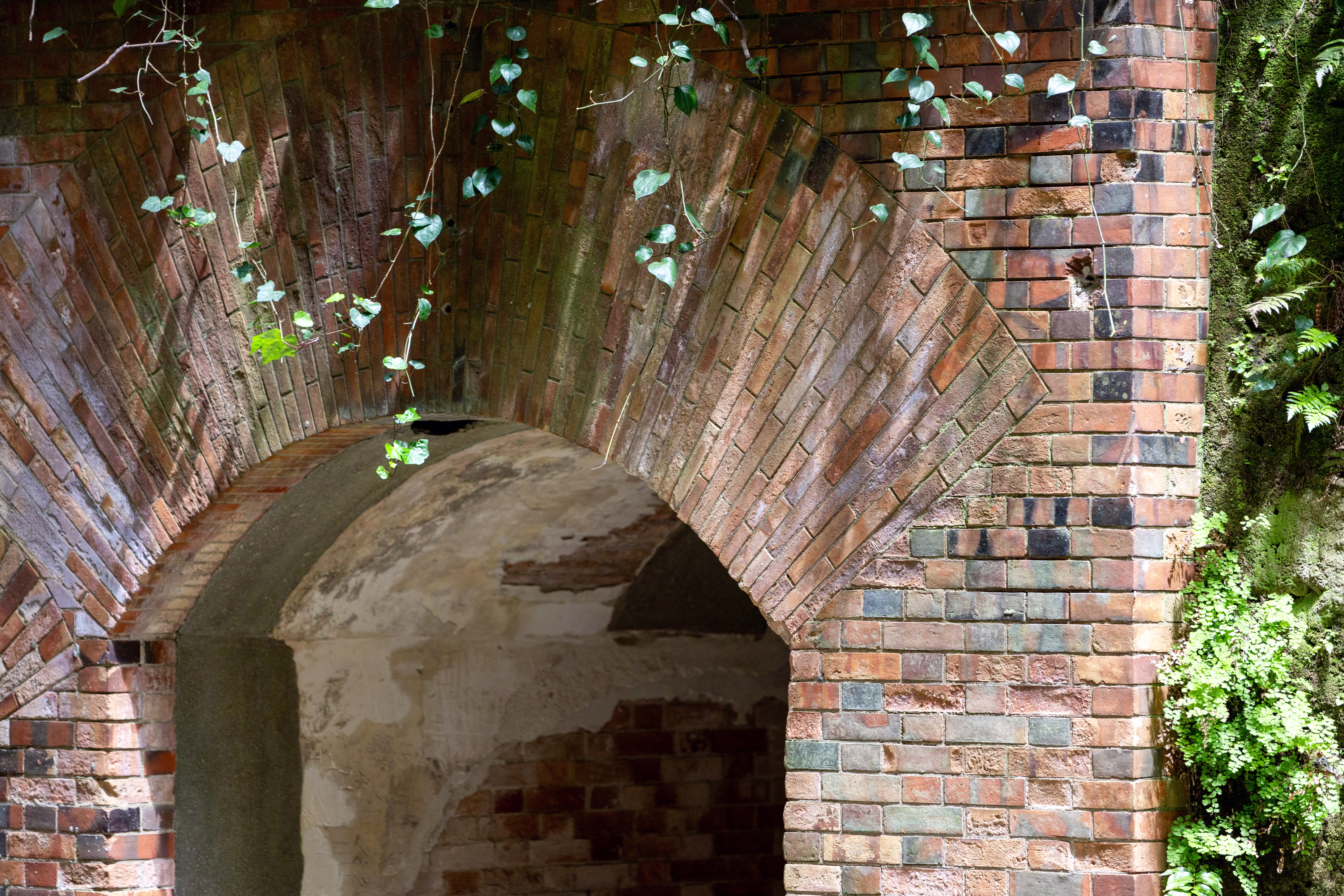 画像関連:猿島 / 記念艦 三笠 / 横須賀市自然・人文博物館