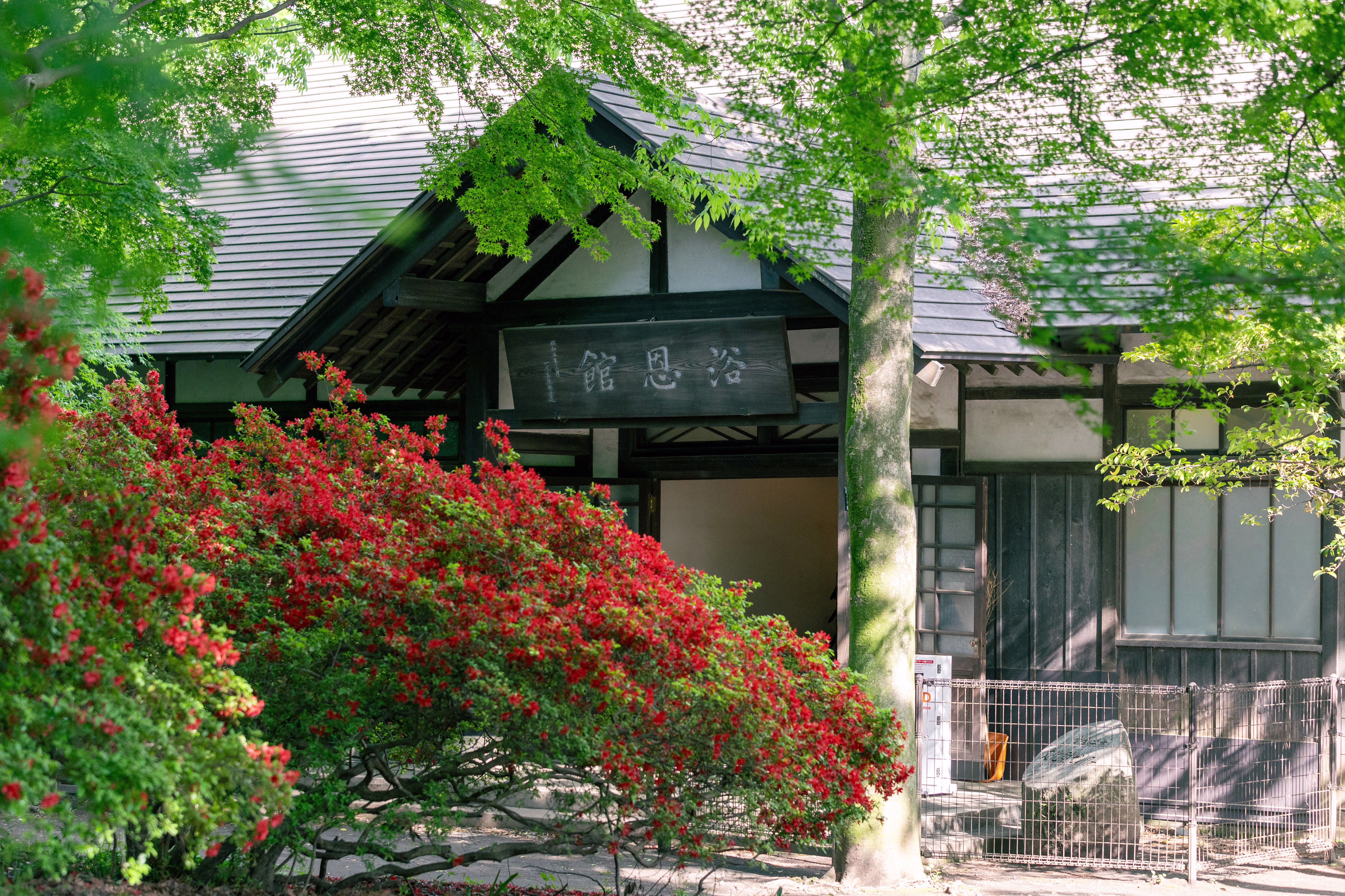 画像関連:江戸東京たてもの園 / 小金井市文化財センター / 東京農工大学 科学博物館