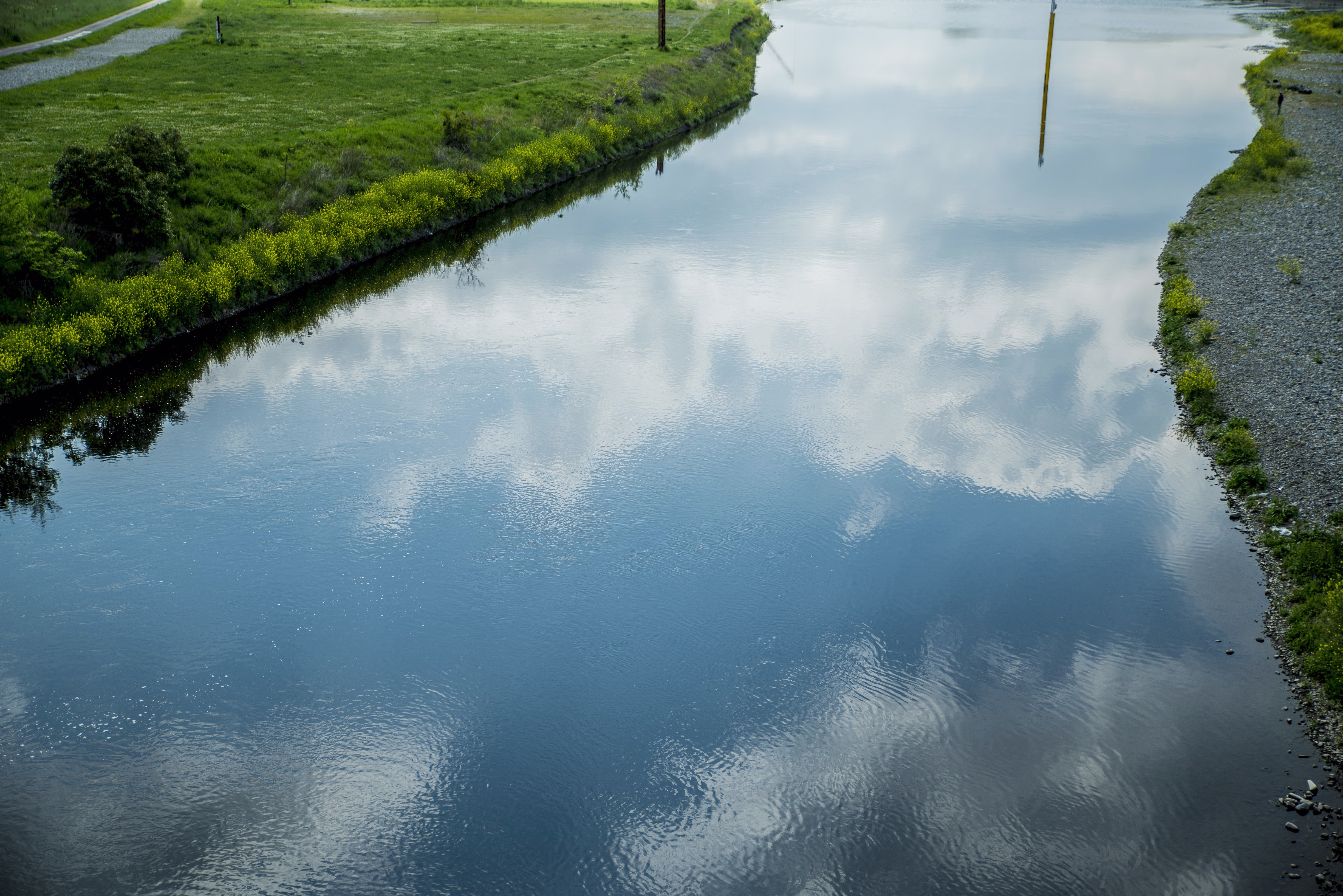 画像関連:SIGMA MC-11 + α7R II でいろいろ試す