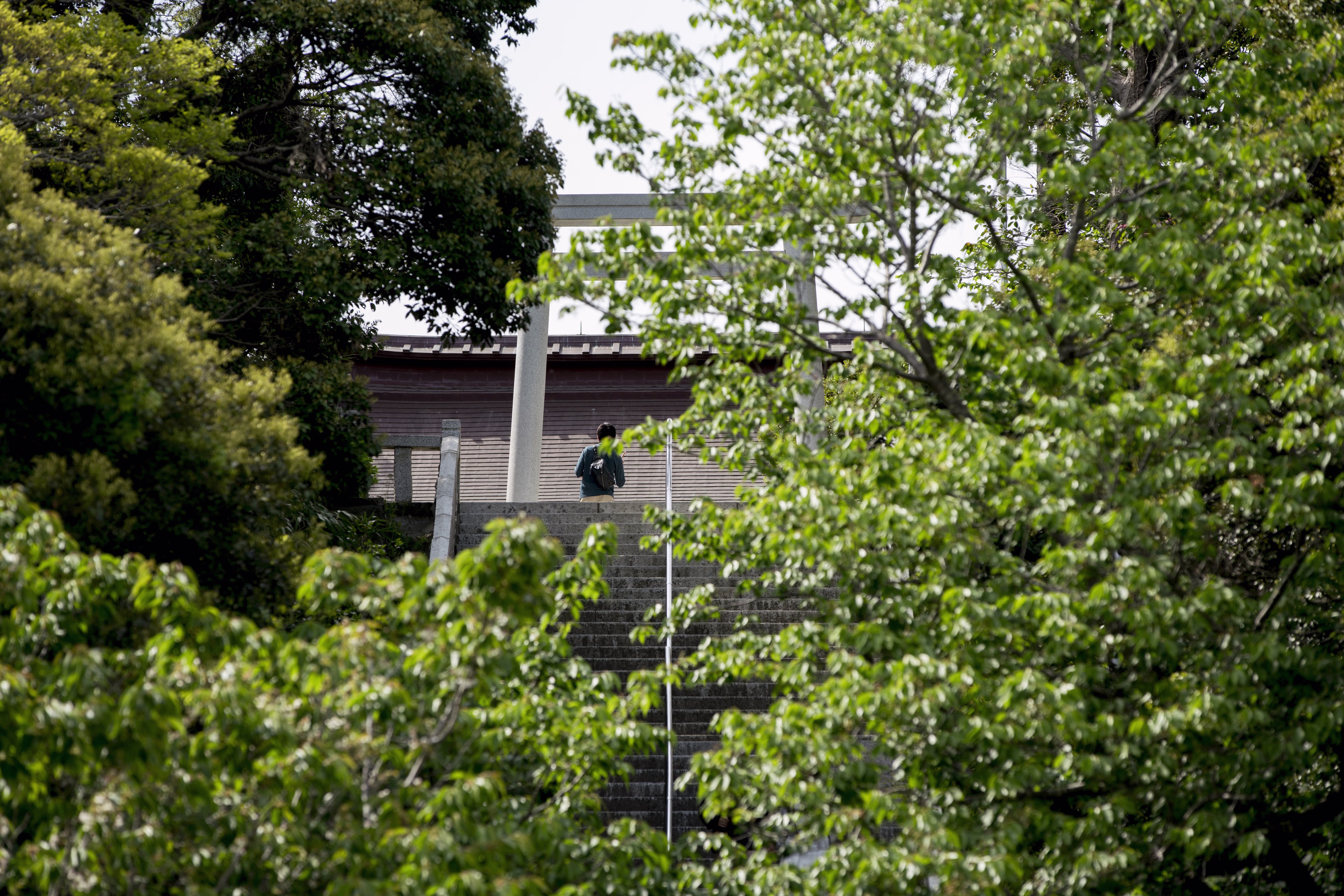 画像関連:大洗町