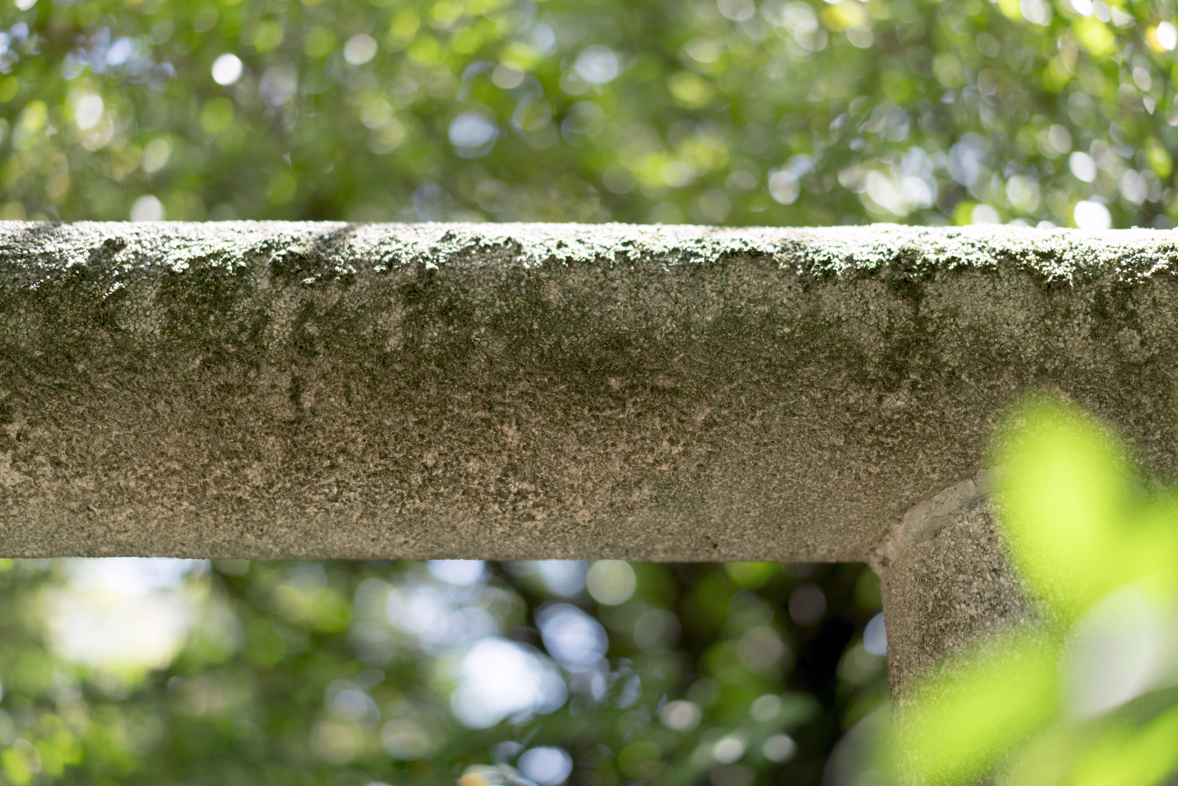 画像関連:国領神社