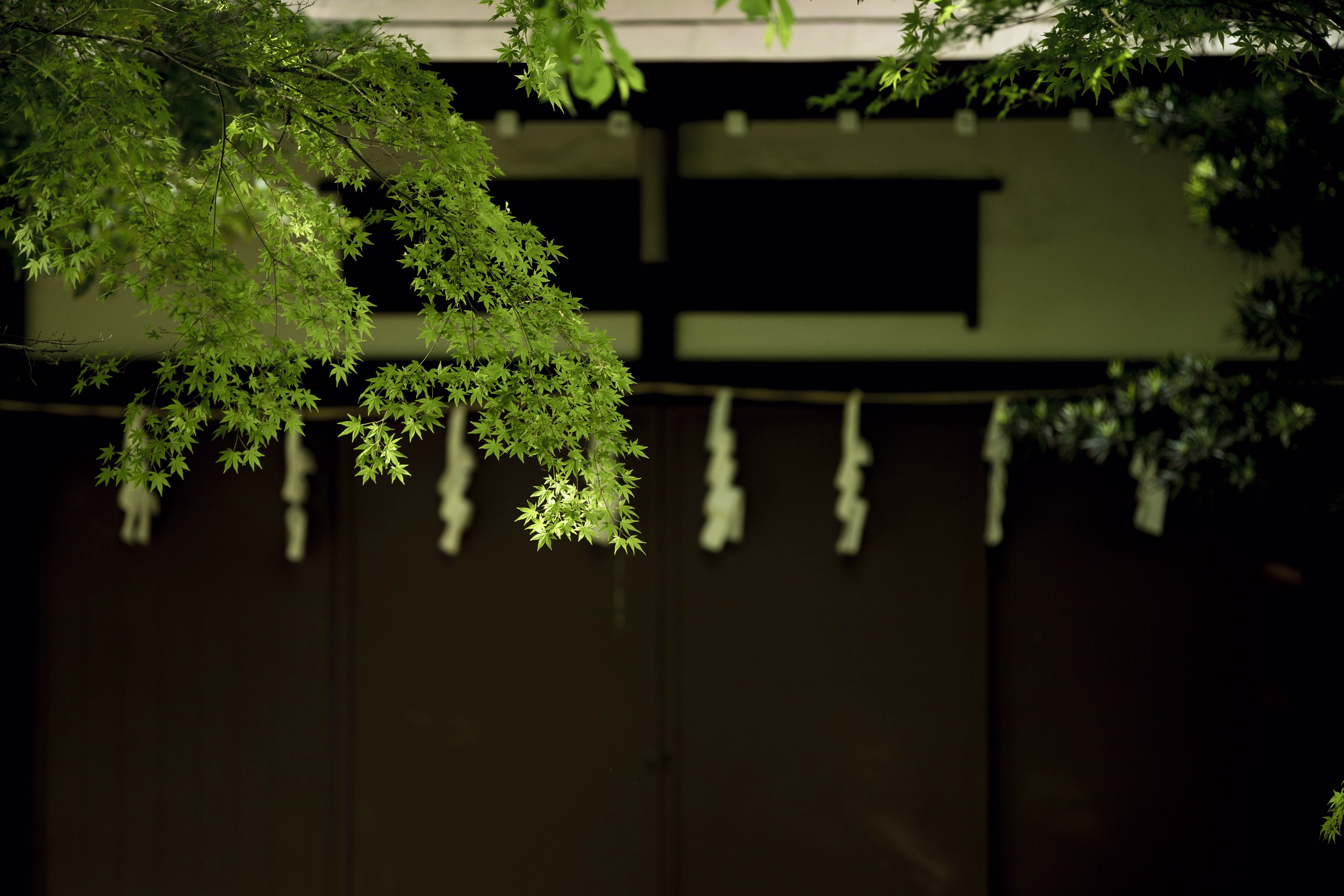 画像関連:西調布の神社
