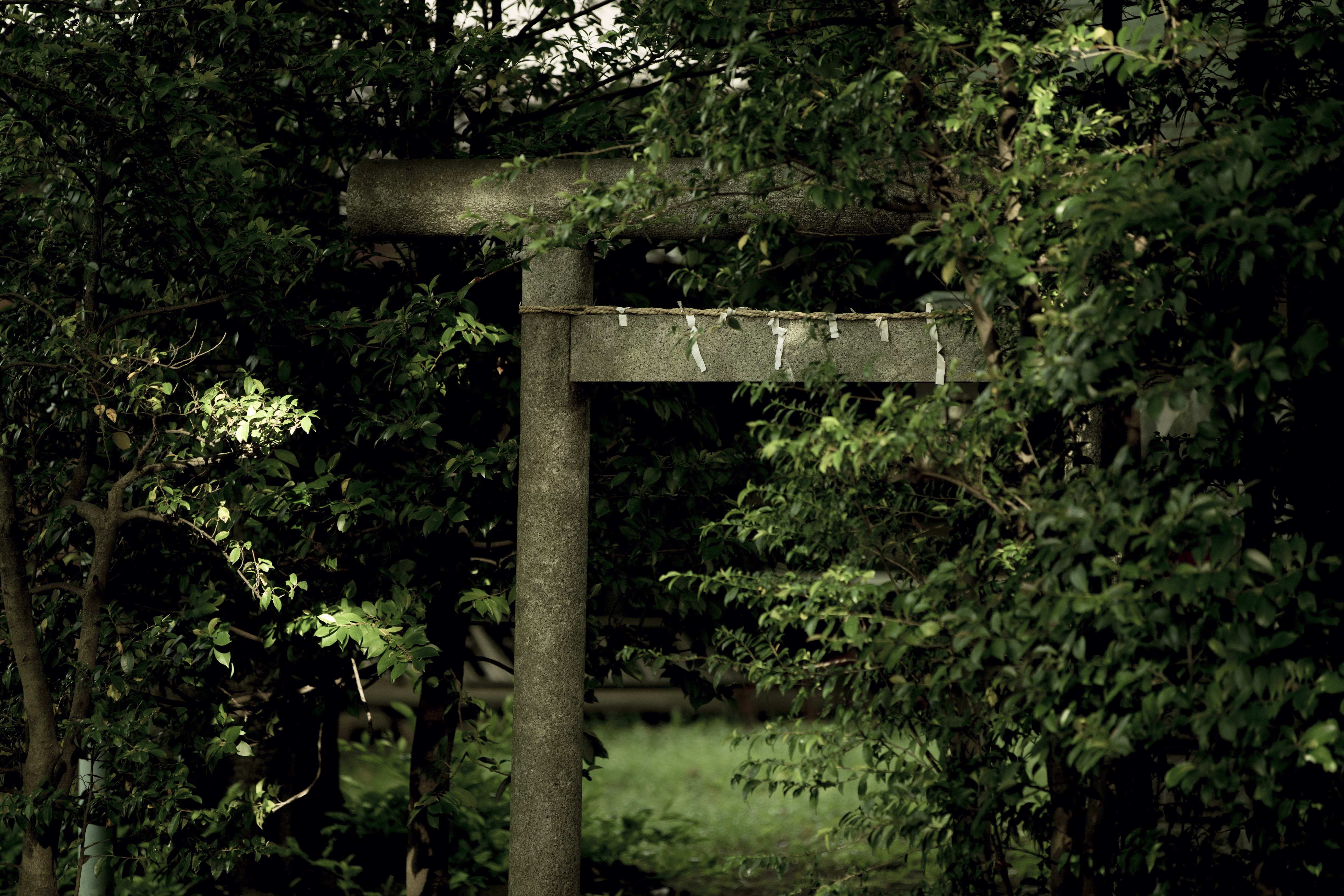 画像関連:西調布の神社