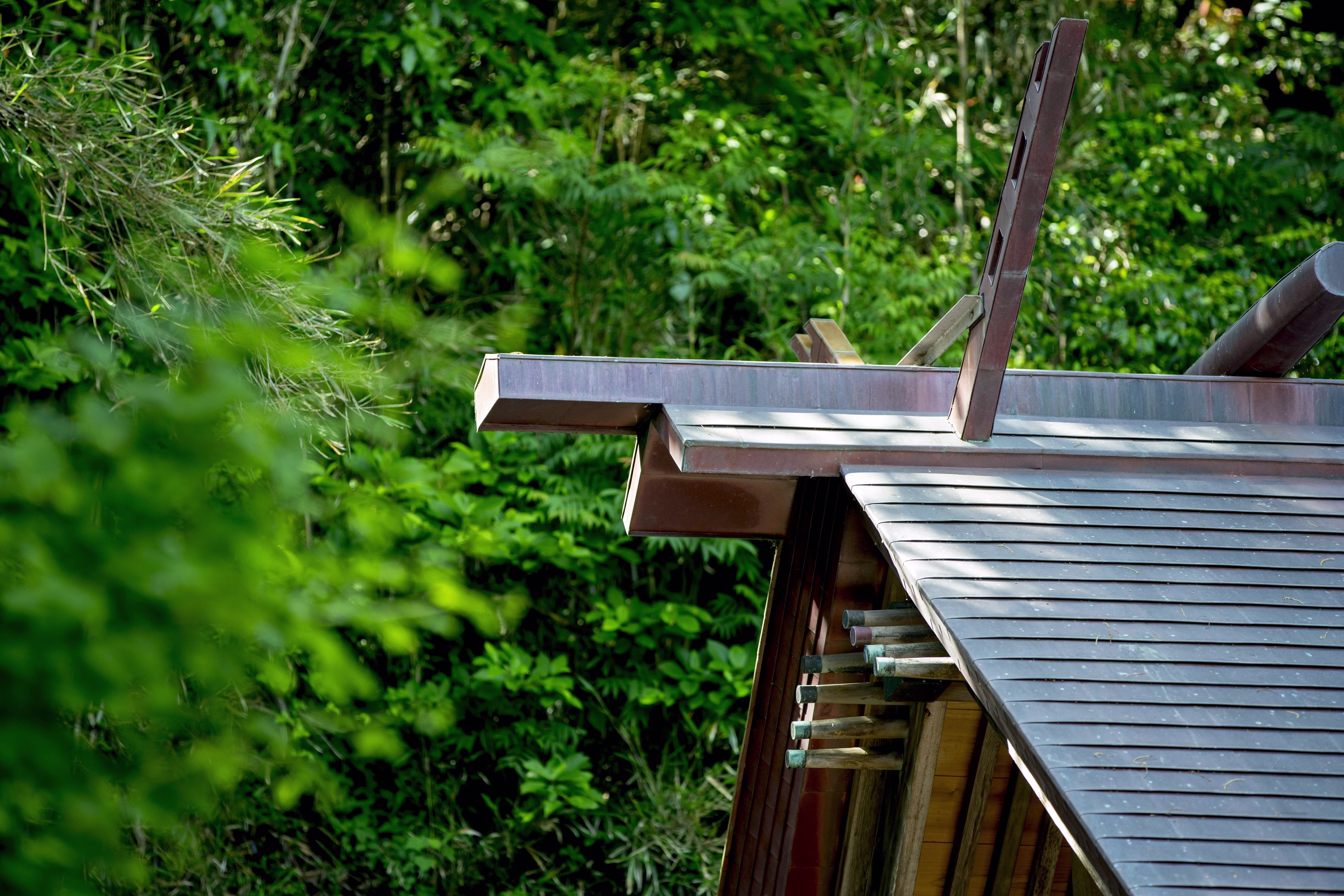 画像関連:安房国の一宮めぐり