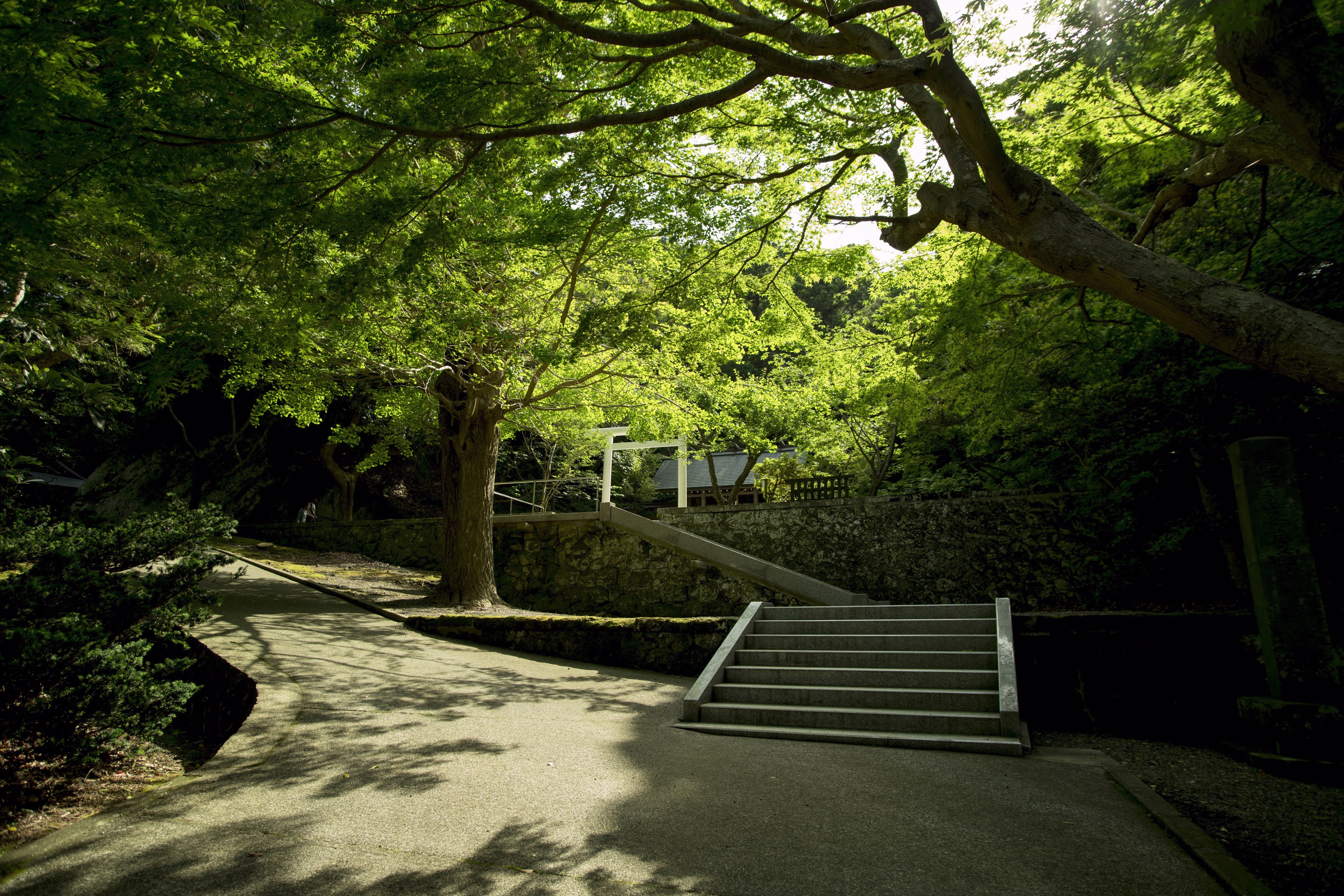 画像関連:安房国の一宮めぐり