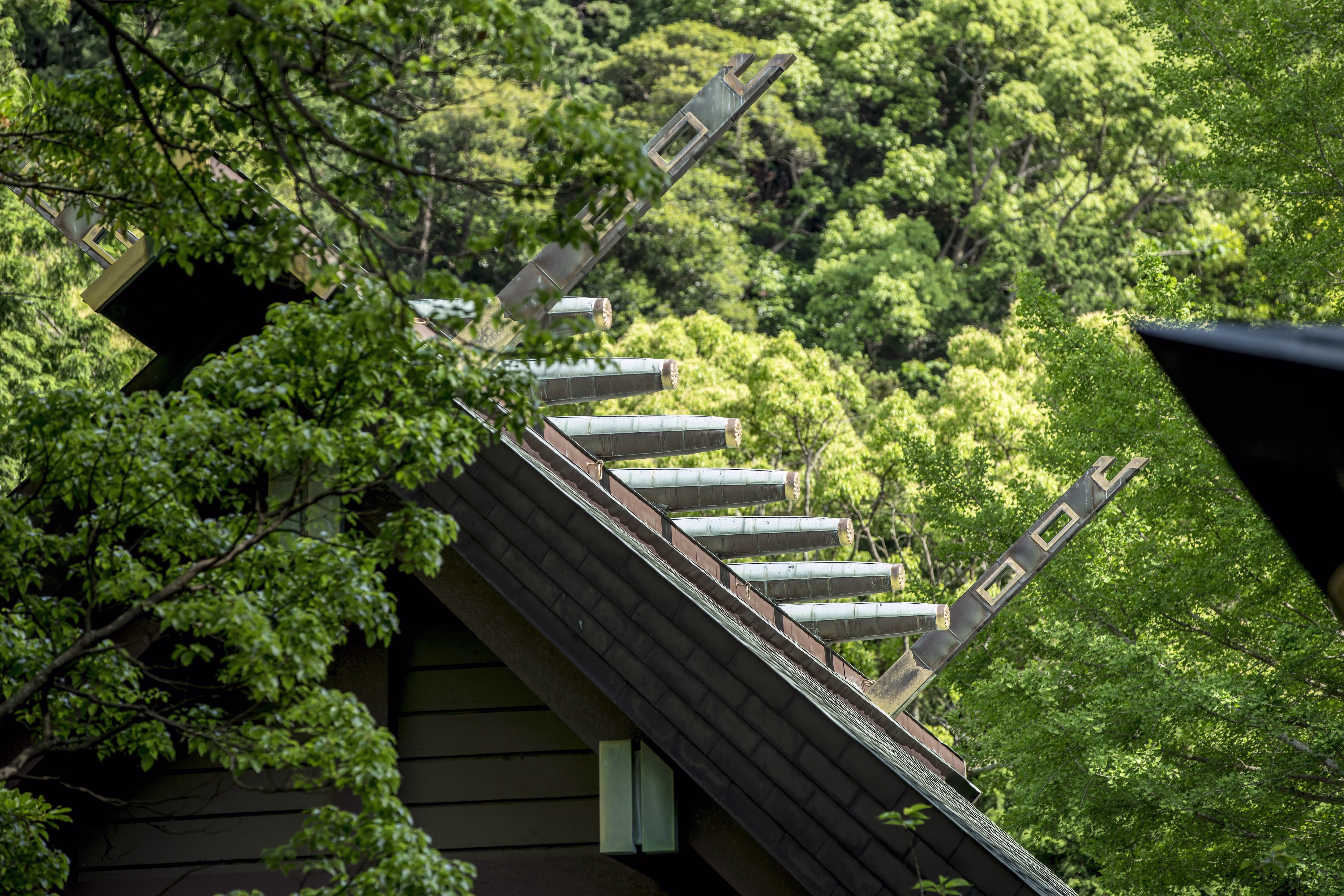 画像関連:安房国の一宮めぐり