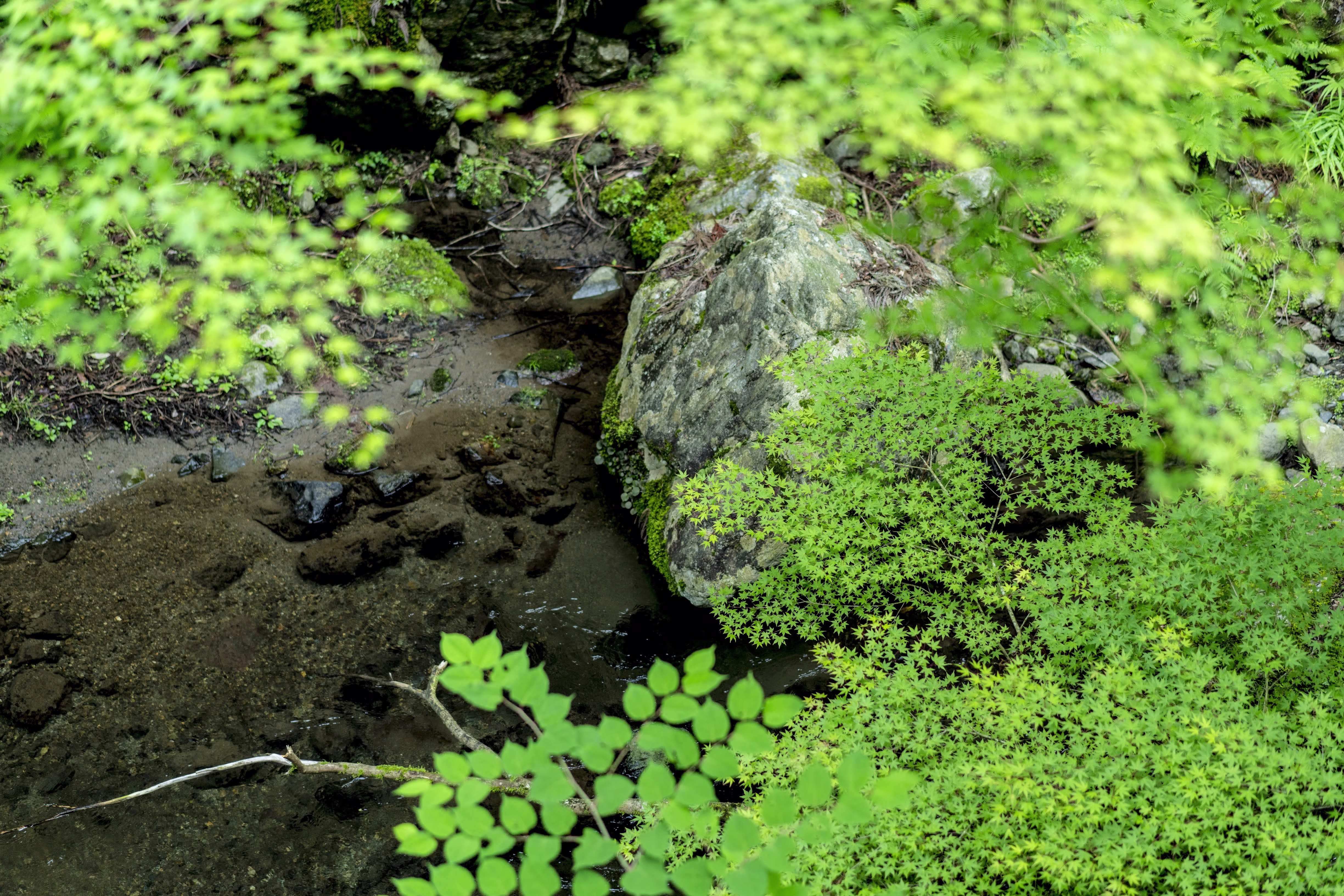 画像関連:貴船神社