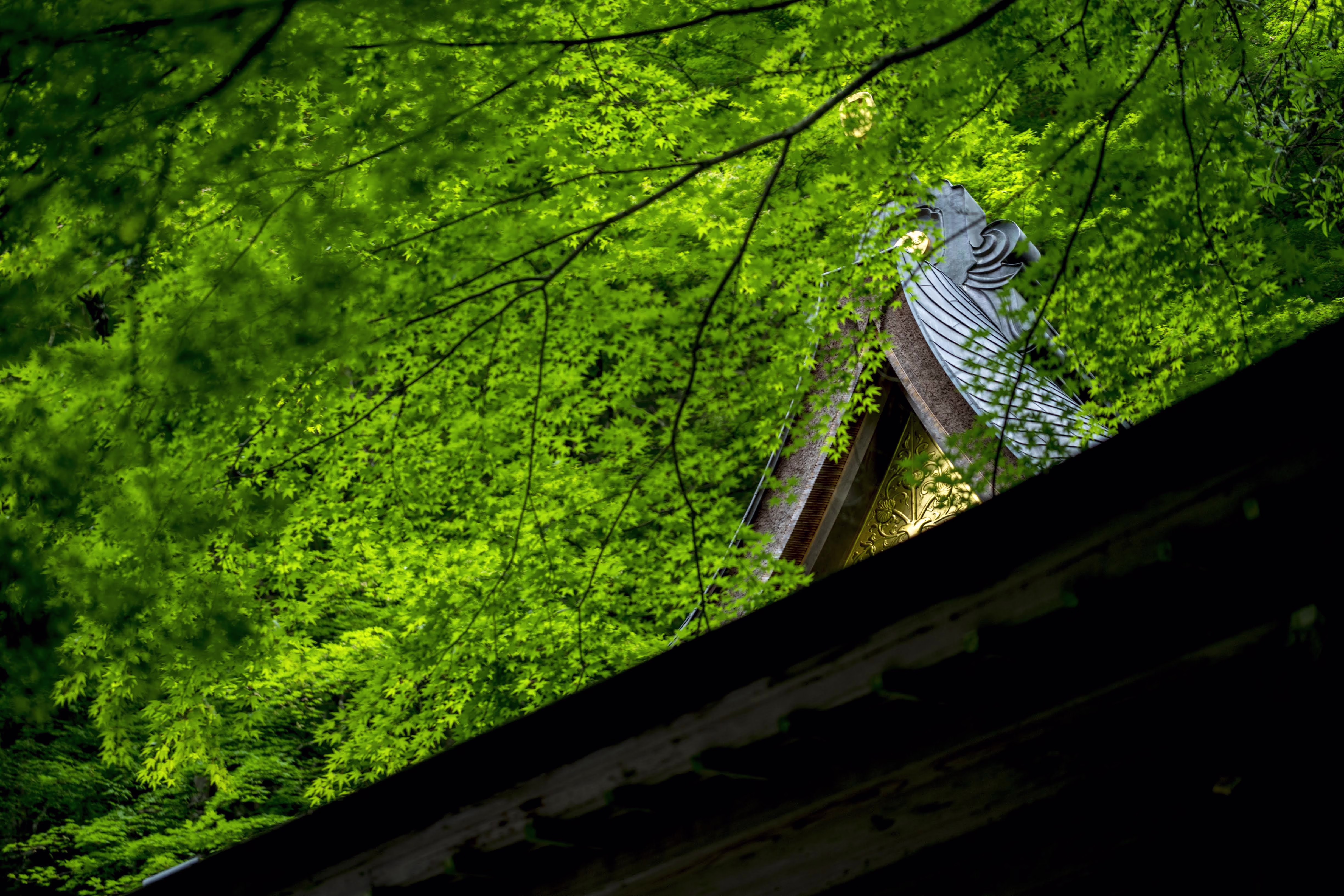 画像関連:貴船神社