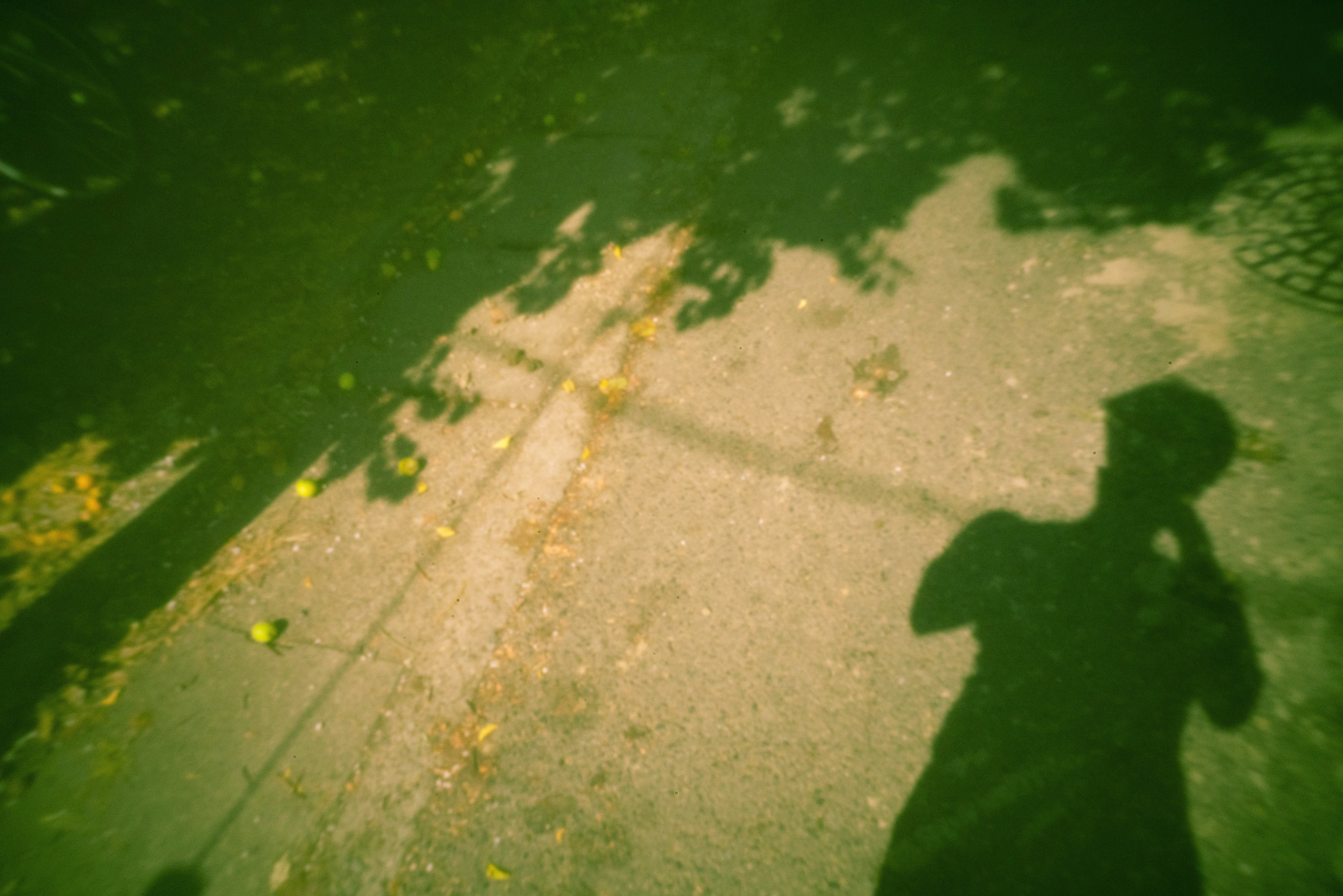 画像関連:たまにやってくるピンホールカメラ期