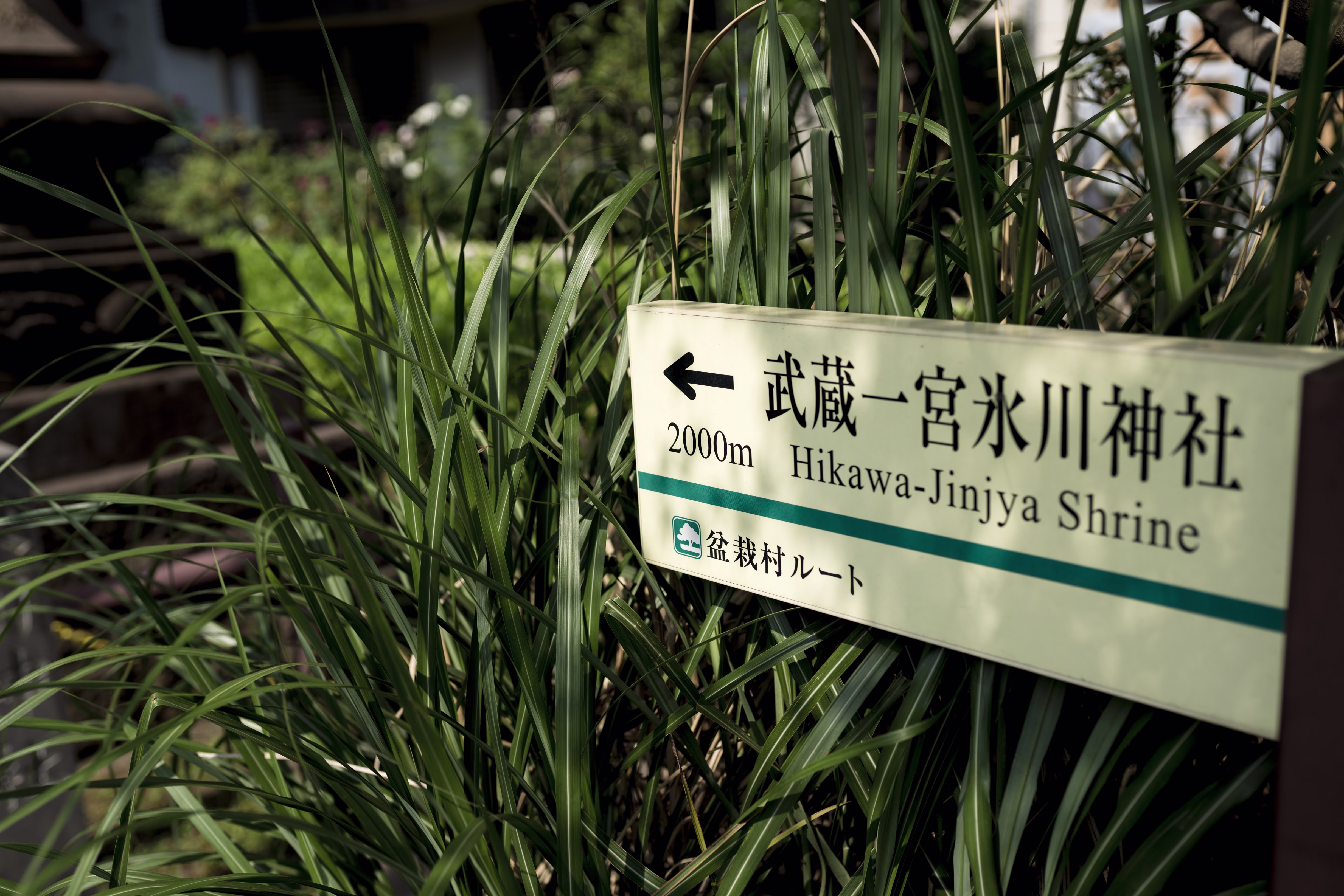 画像関連:氷川神社・氷川女體神社