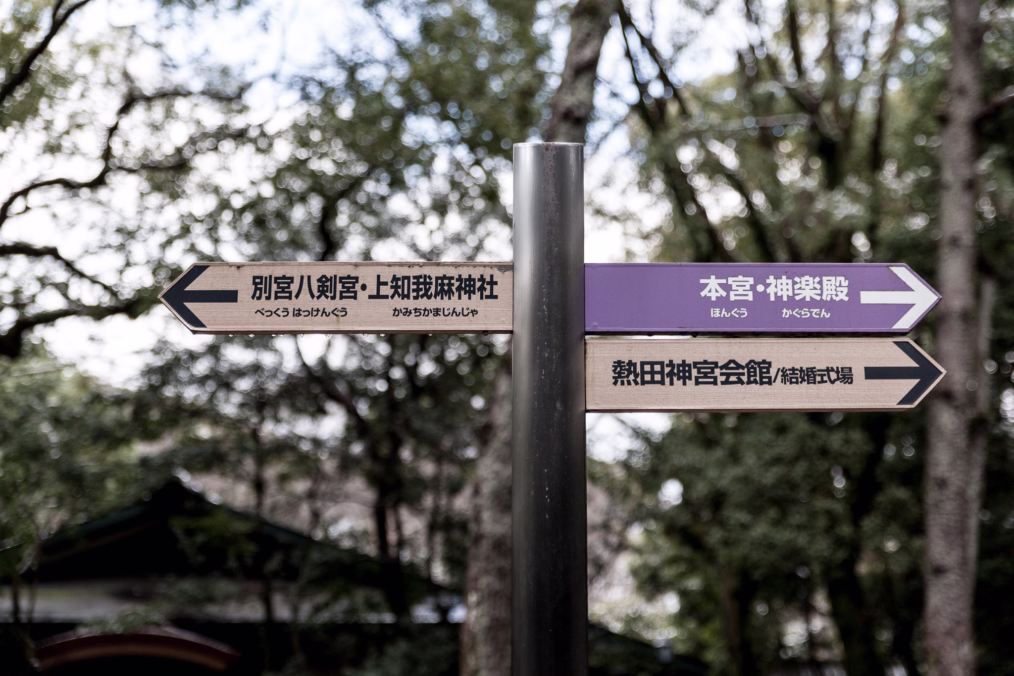 画像関連:神宮参り