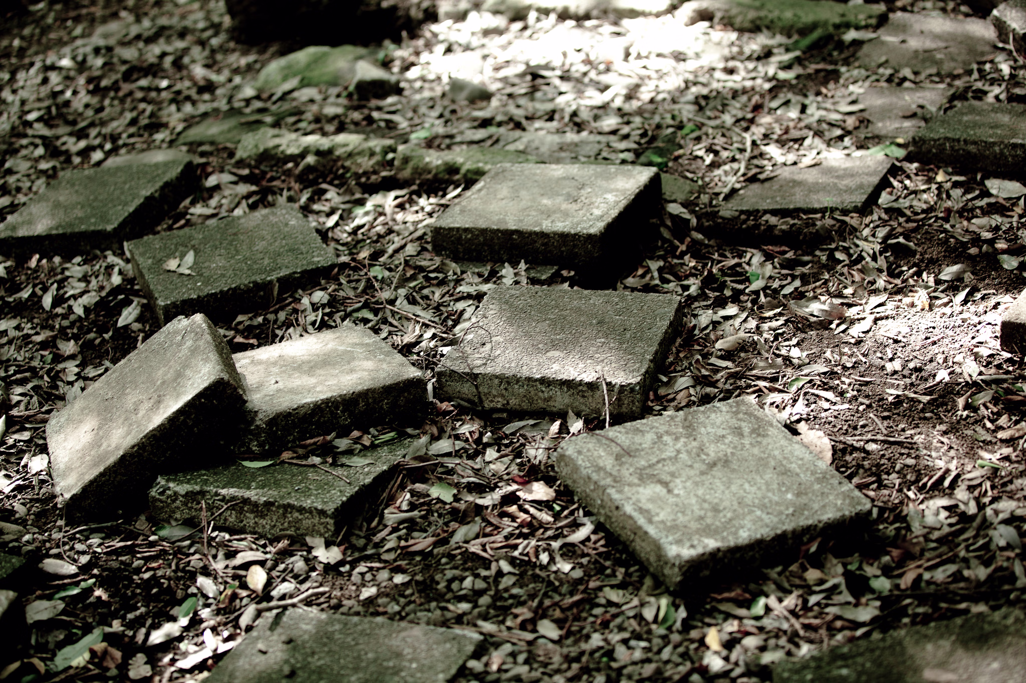 画像関連:谷保天満宮