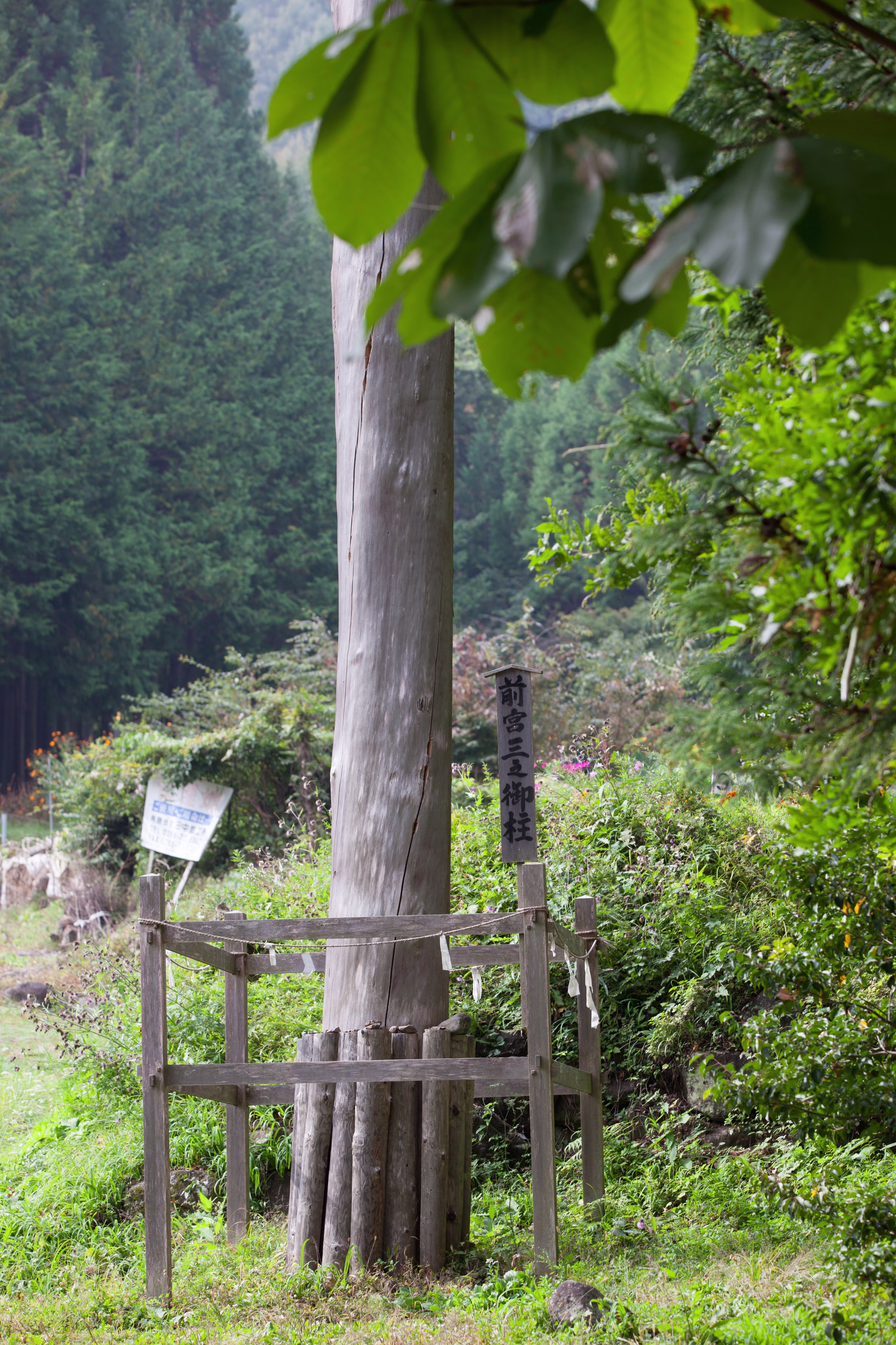 画像関連:諏訪大社