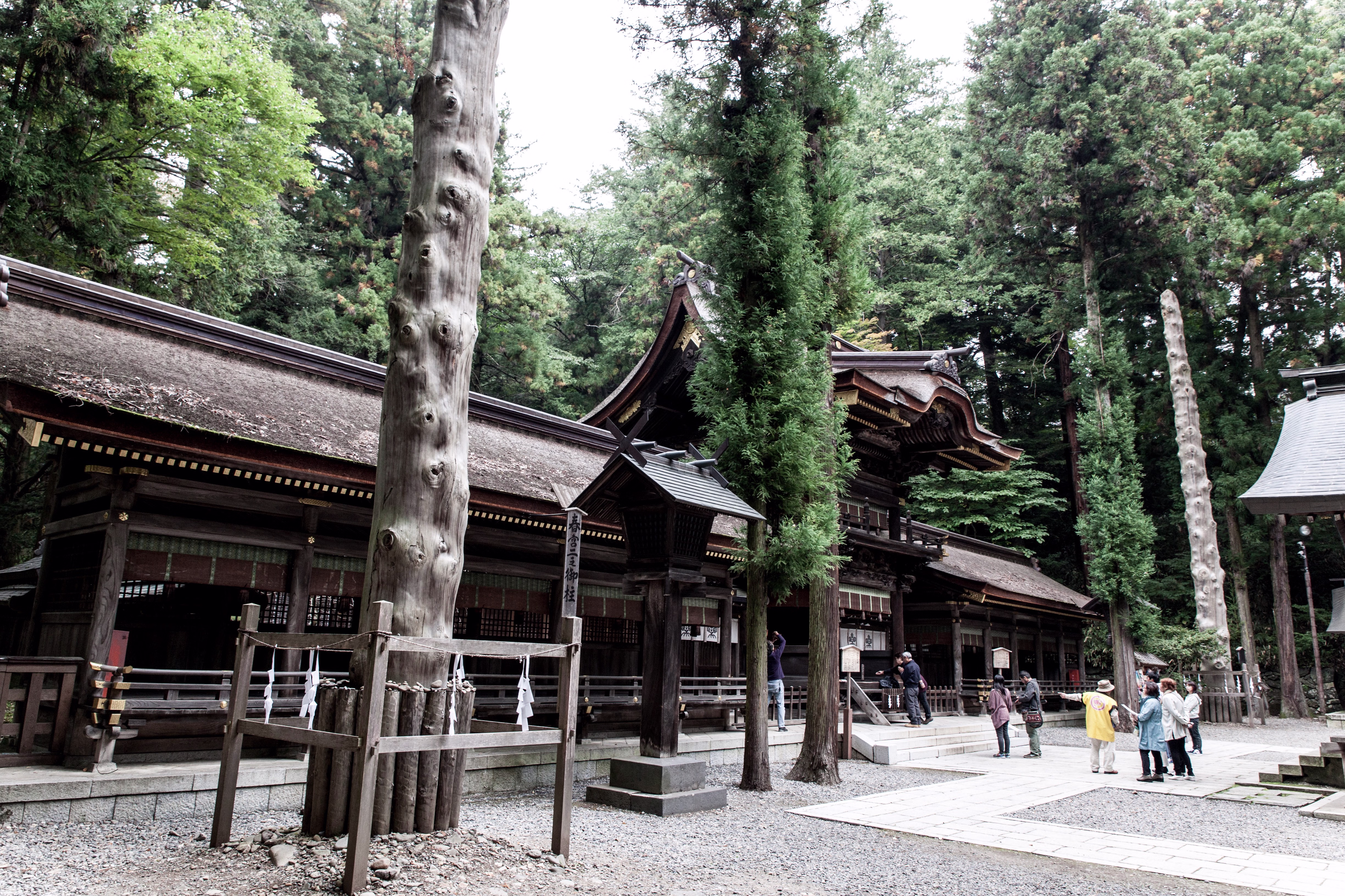 画像関連:諏訪大社