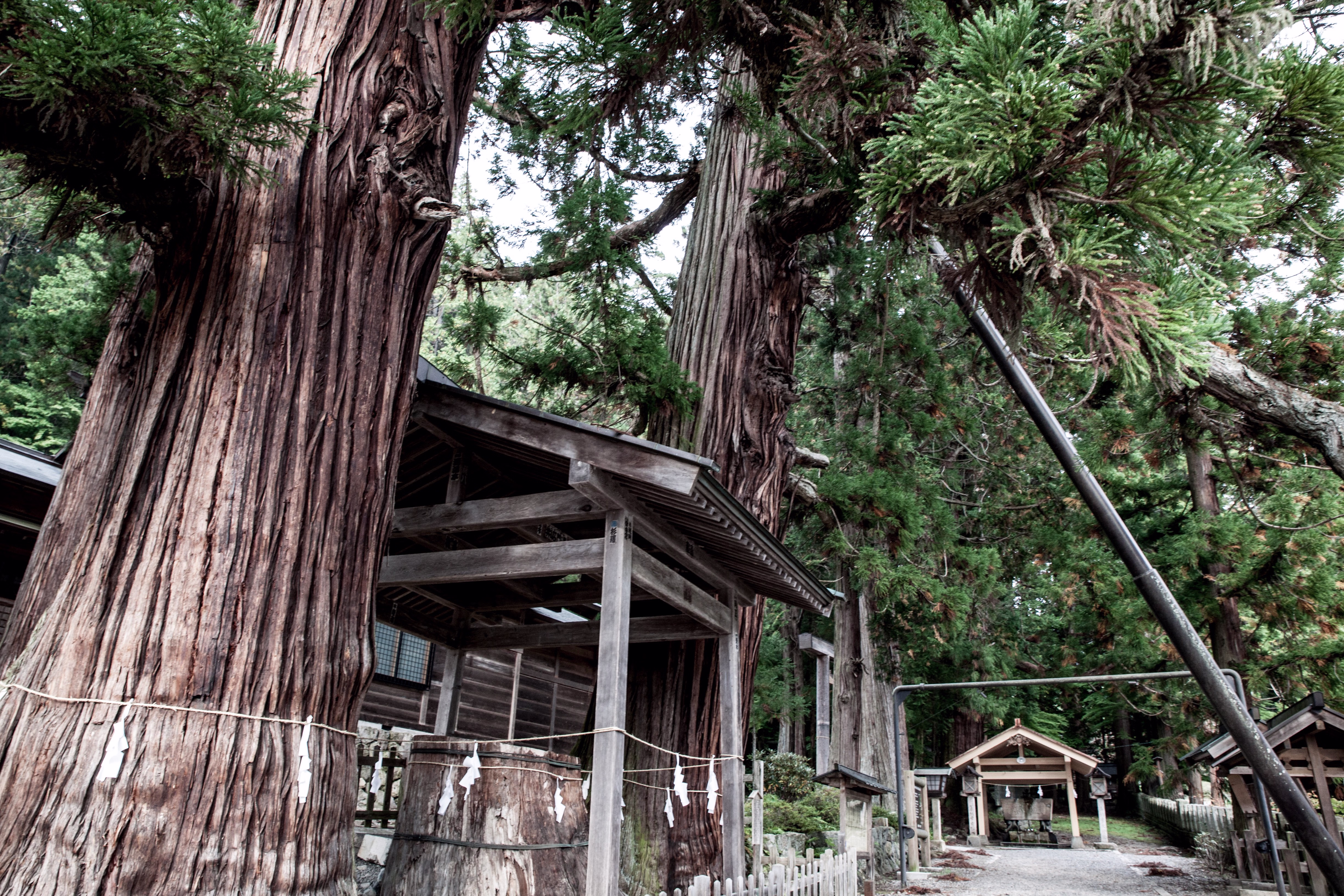 画像関連:仁科神明宮