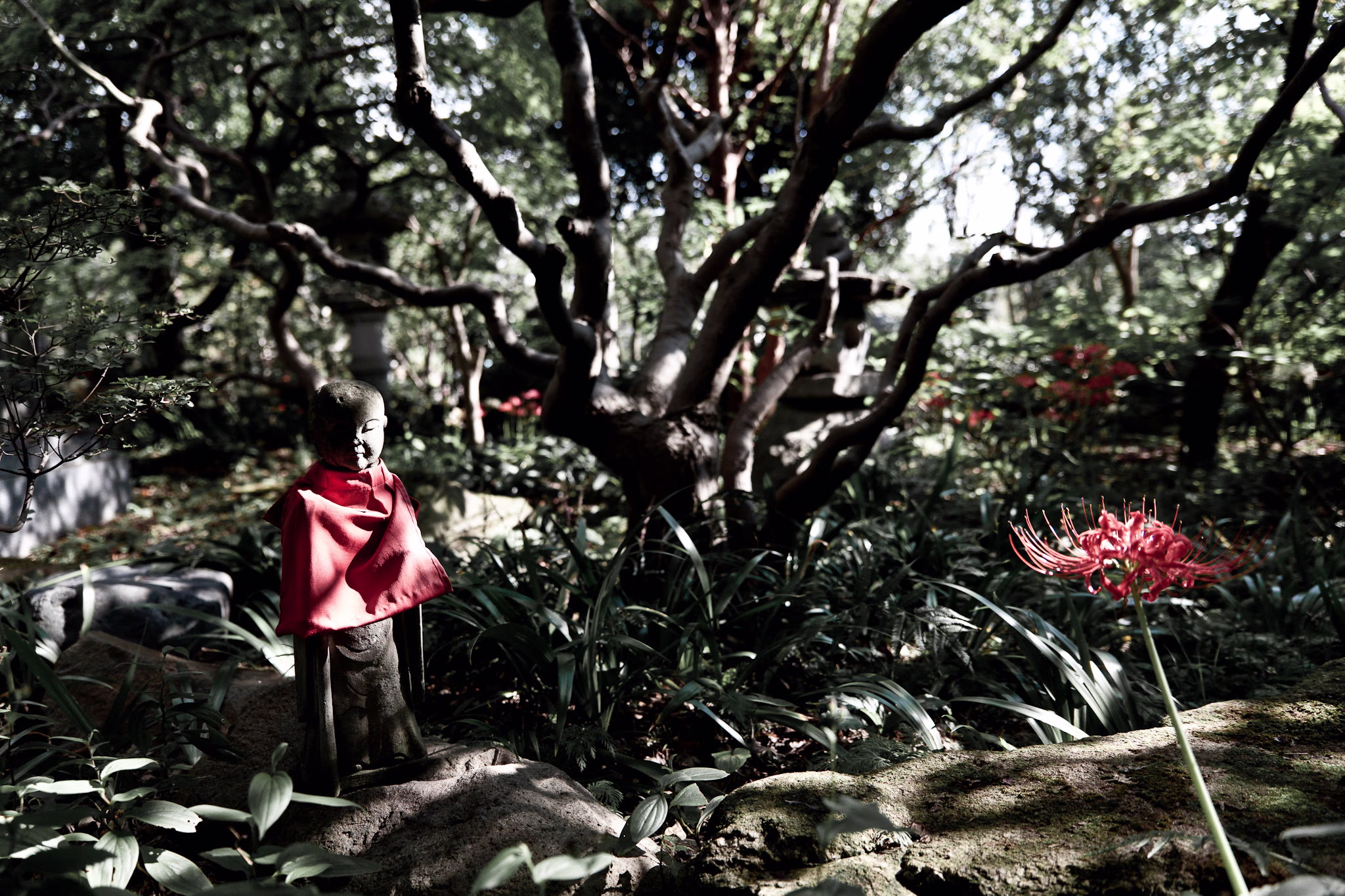 画像関連:常泉寺