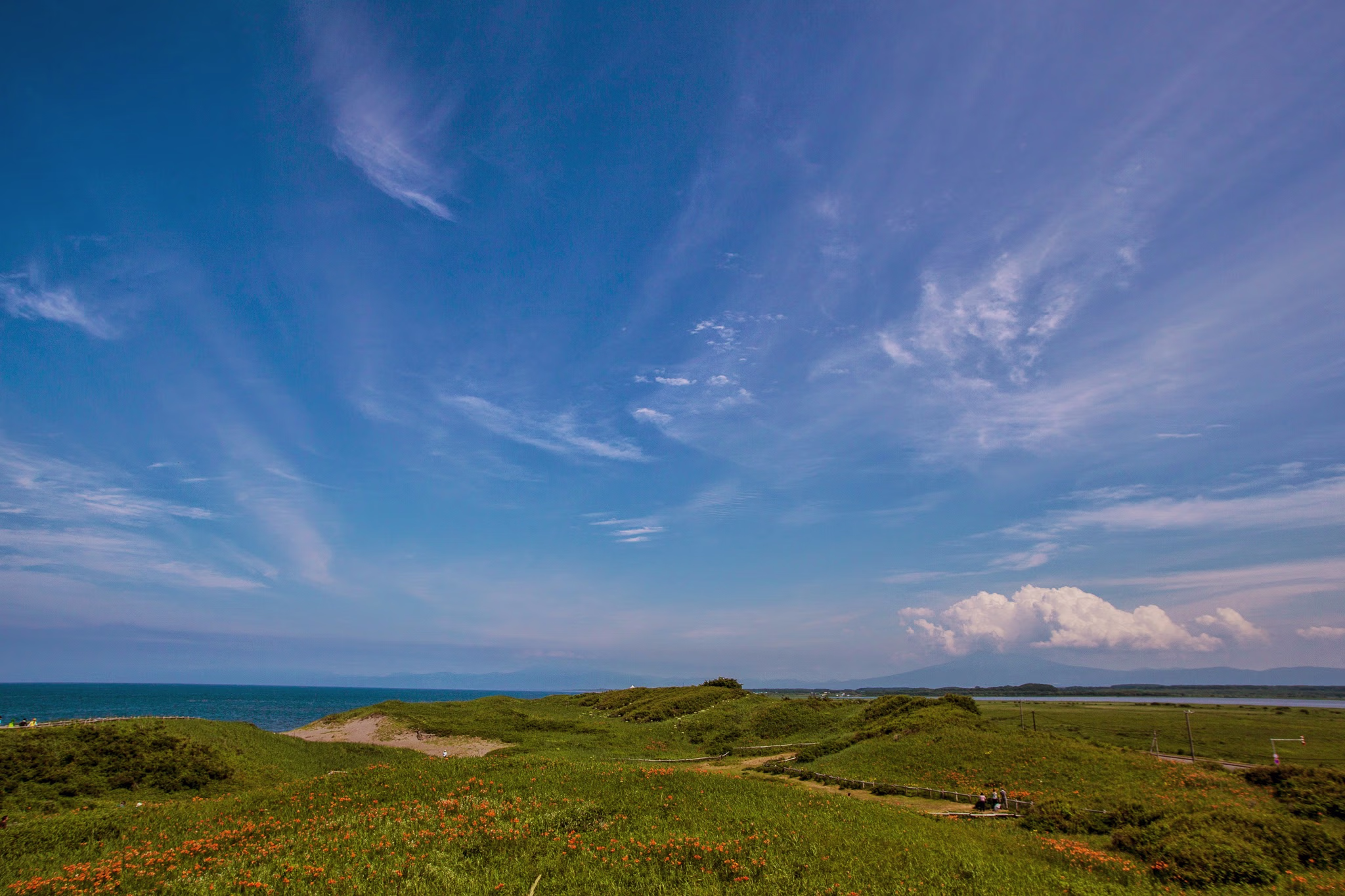画像関連:小清水原生花園