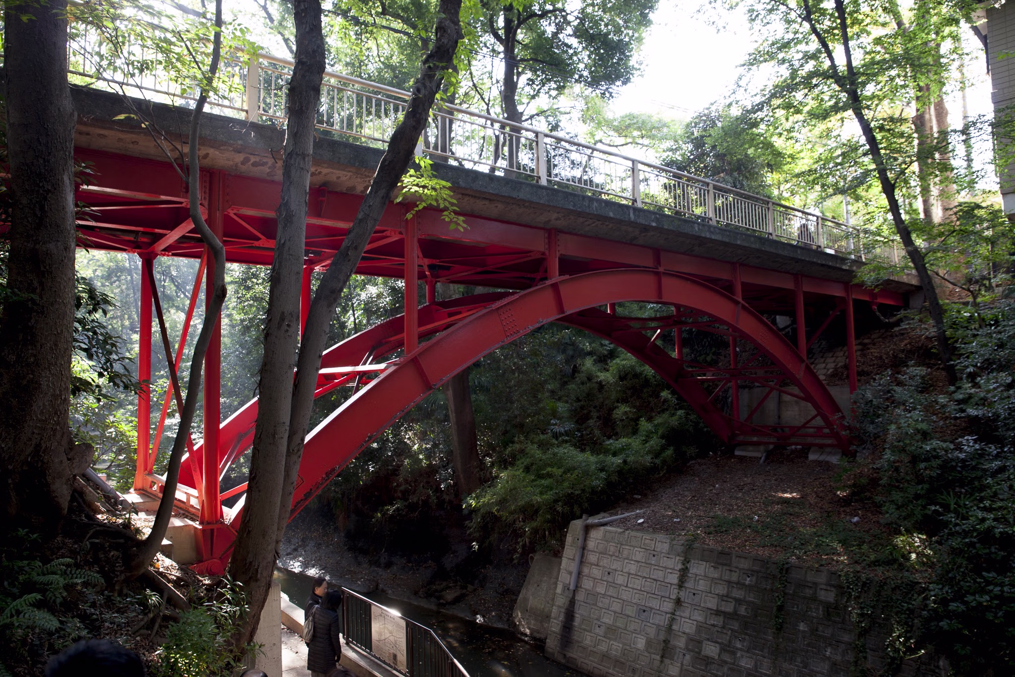 画像関連:等々力渓谷